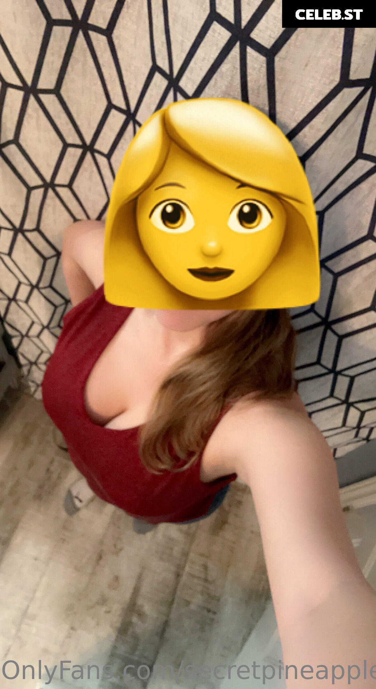 secretpineapplebabe Image 12943981