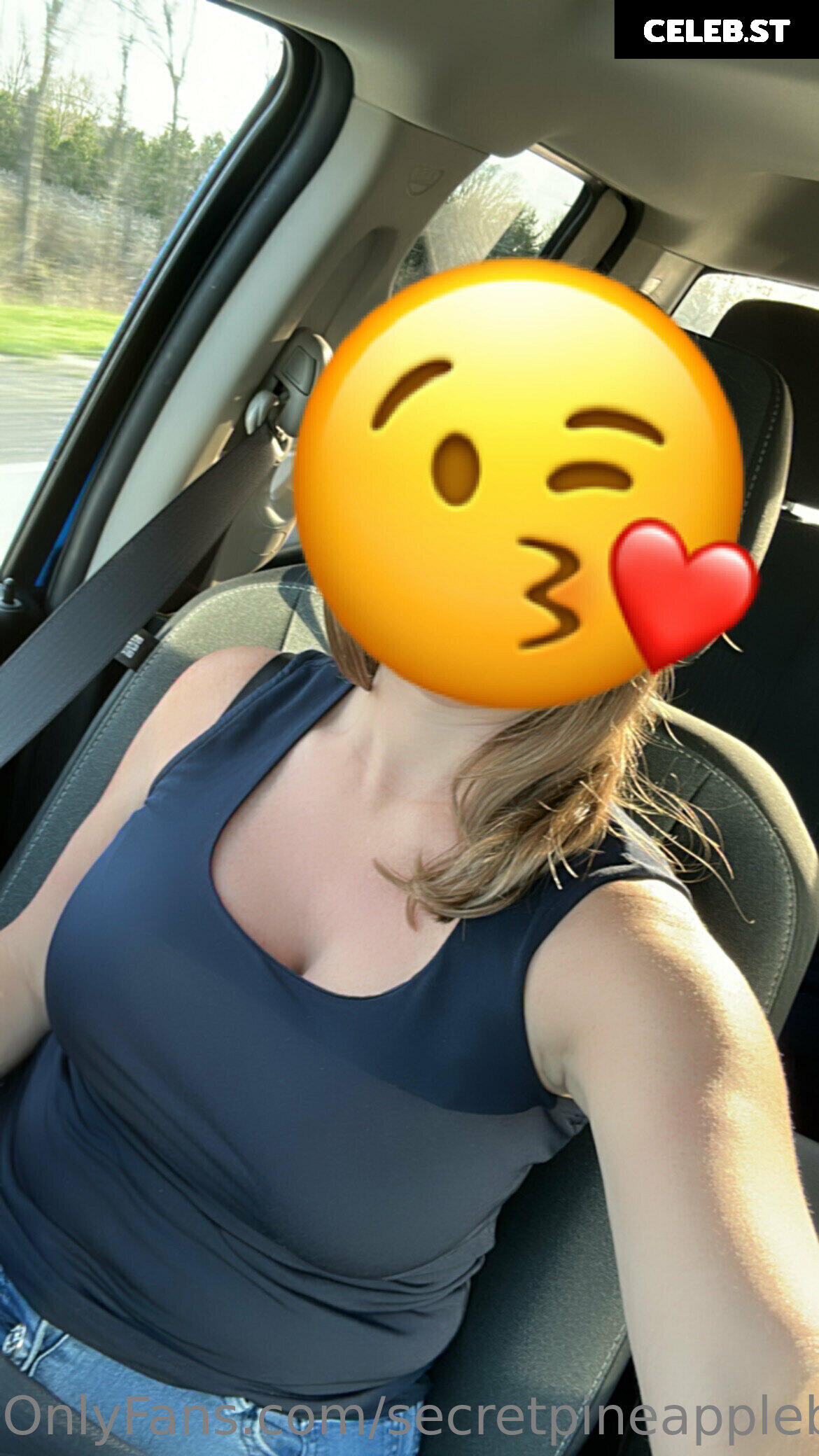 secretpineapplebabe Image 12943232