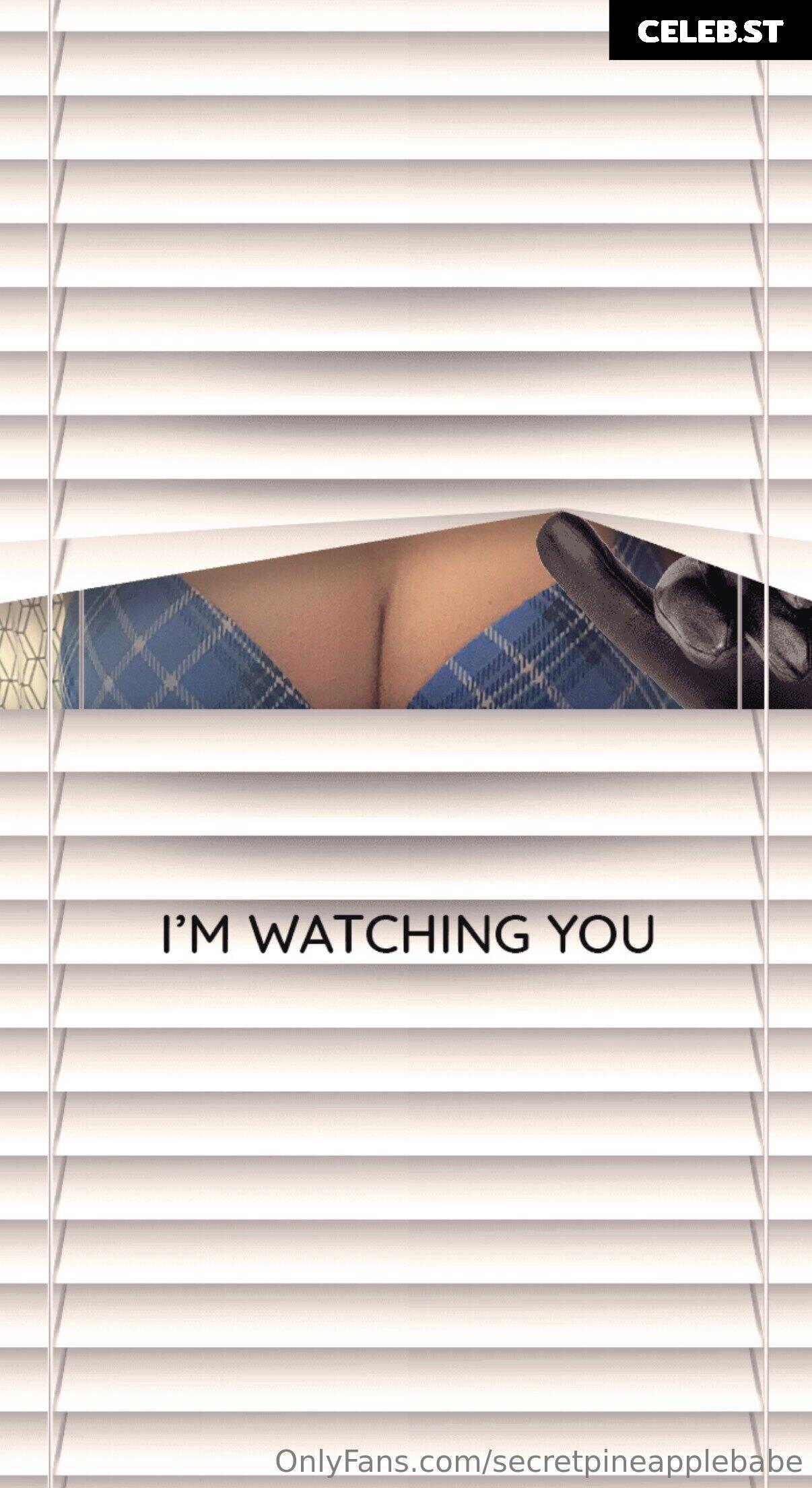 secretpineapplebabe Image 12939957