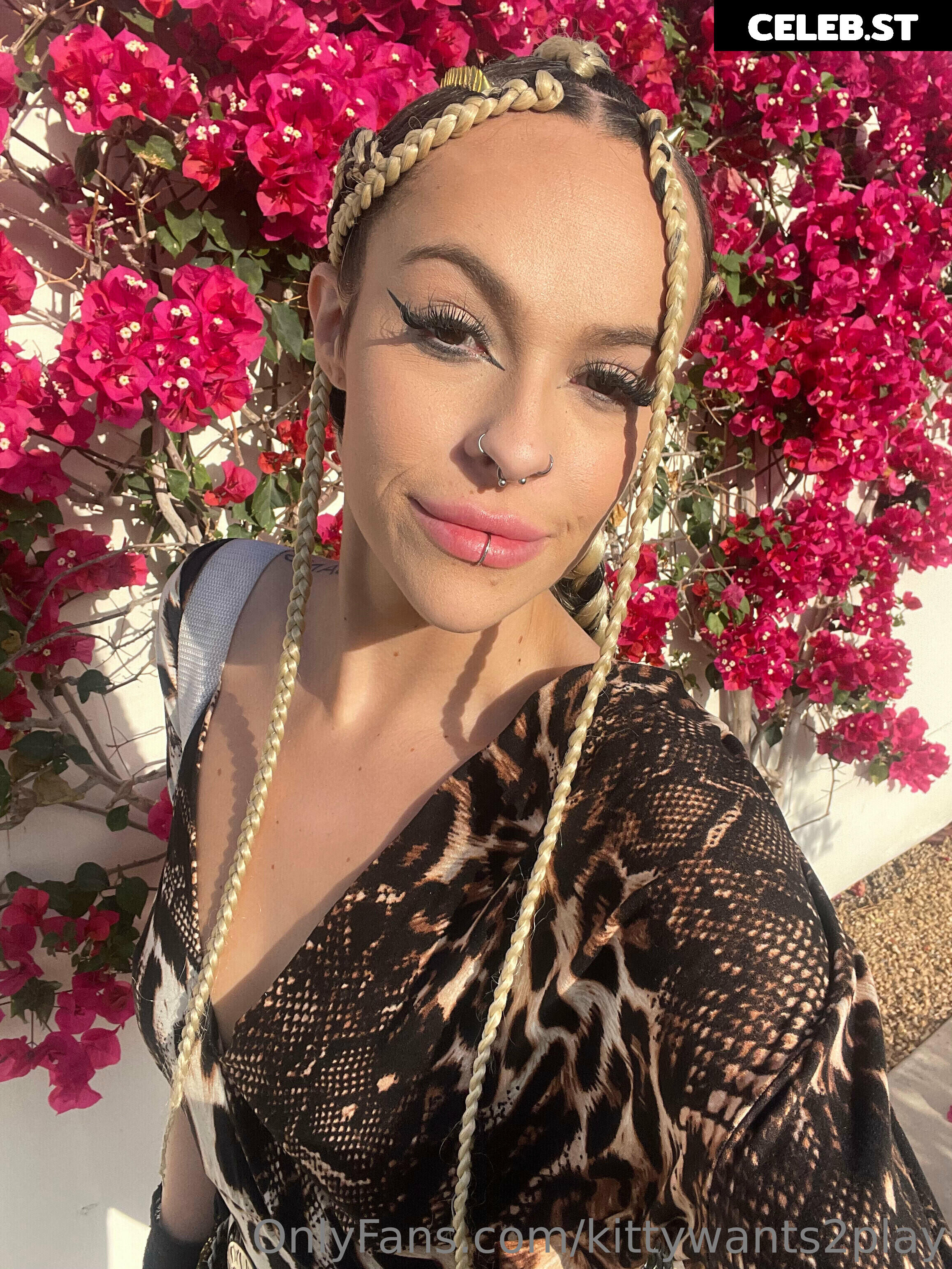 Disko.kitty / kittywants2play / diskomfkitty Image 12750879