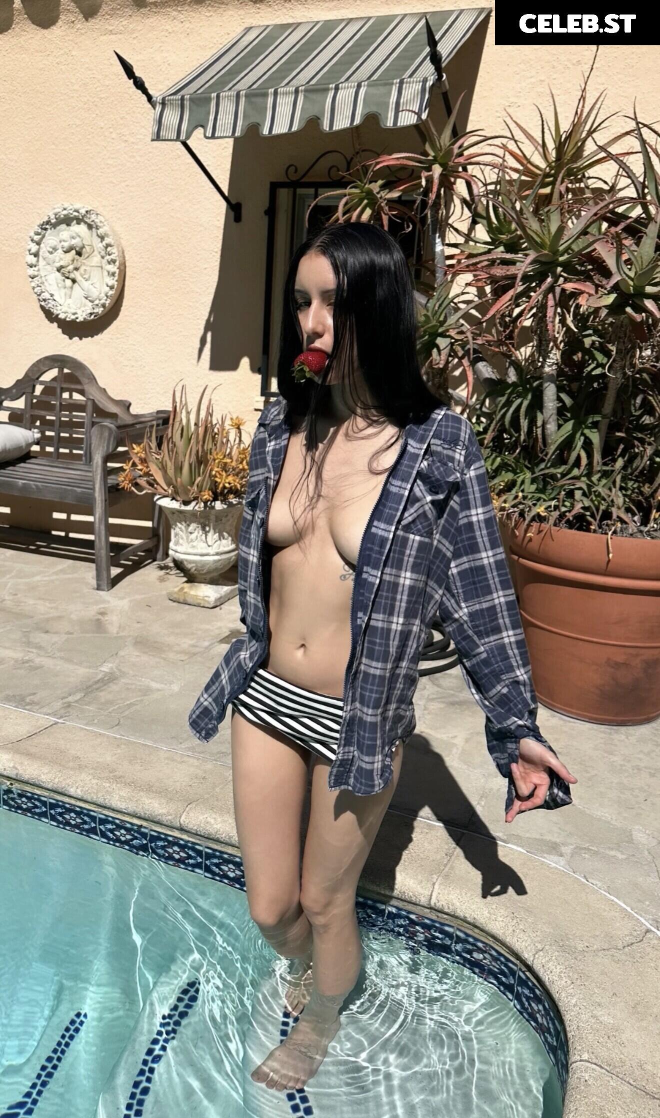 Loyal.Lobos - Andrea Silva Image 12658783