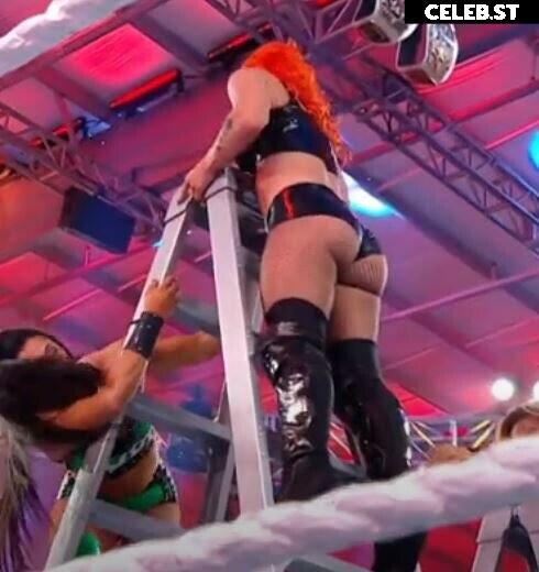 WWE GiGi Dolin / Priscilla Kelly Image 12658396