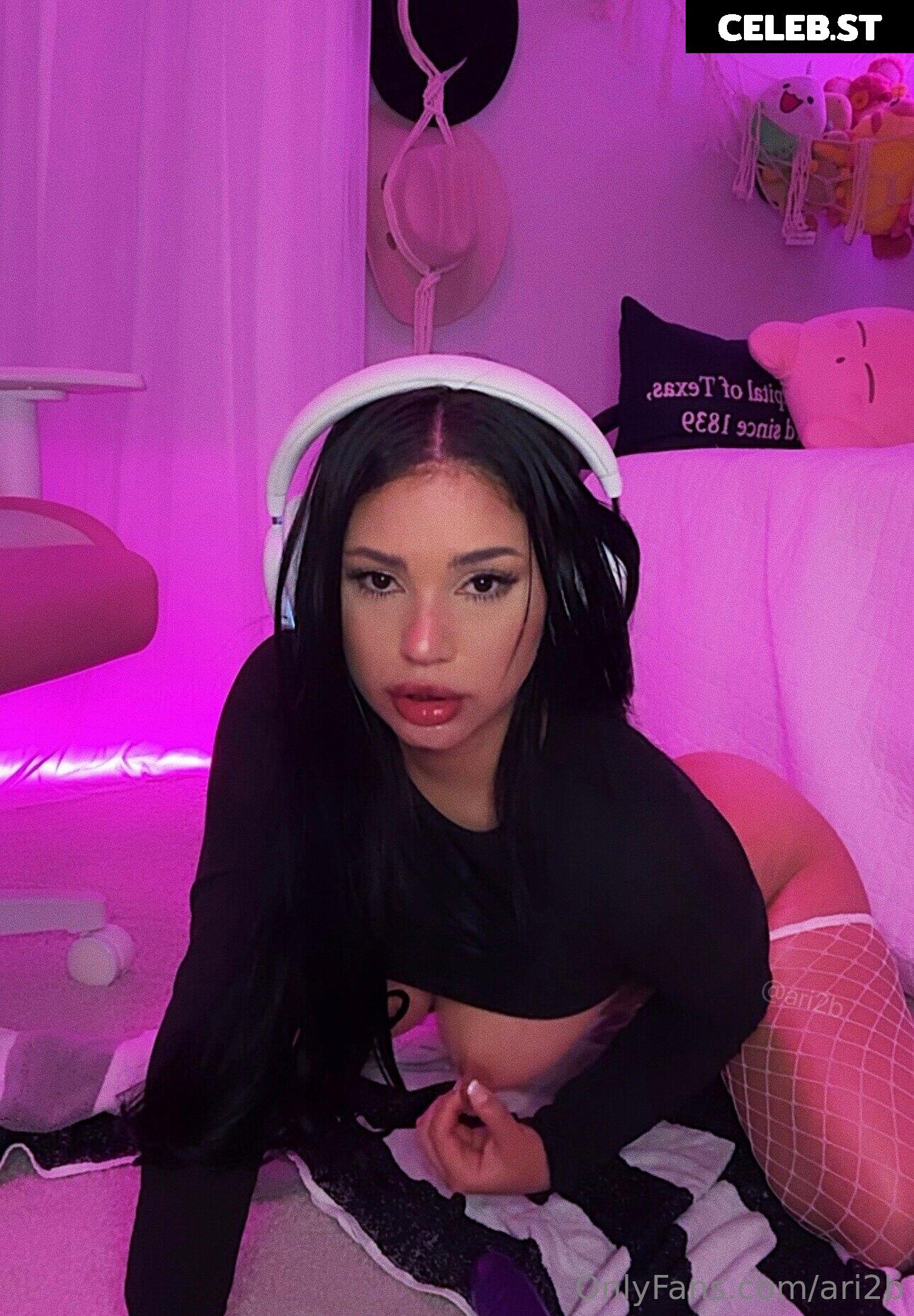 Ari2b Image 12659405