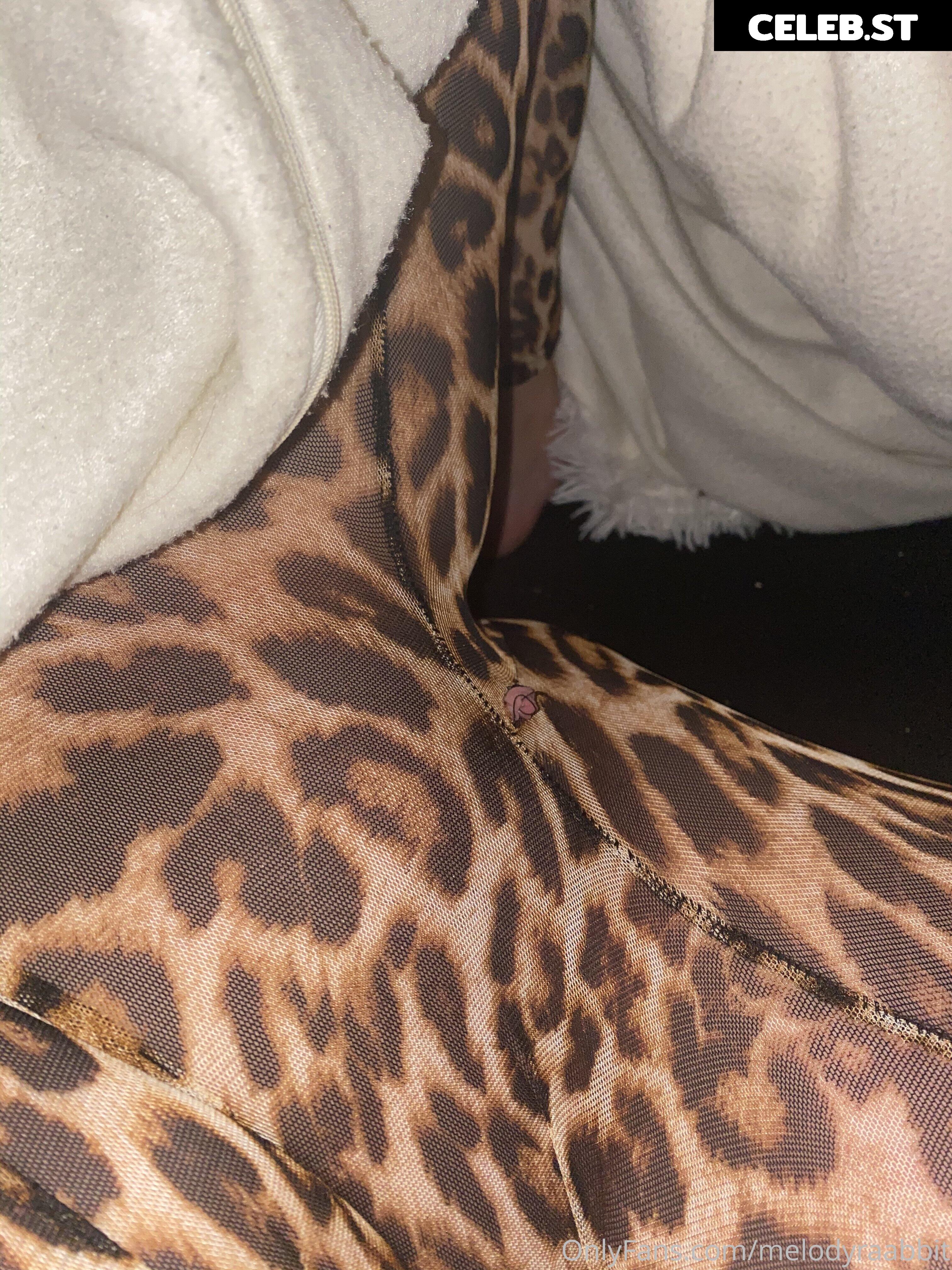 Melody Haase / melodyraabbit Image 12665502