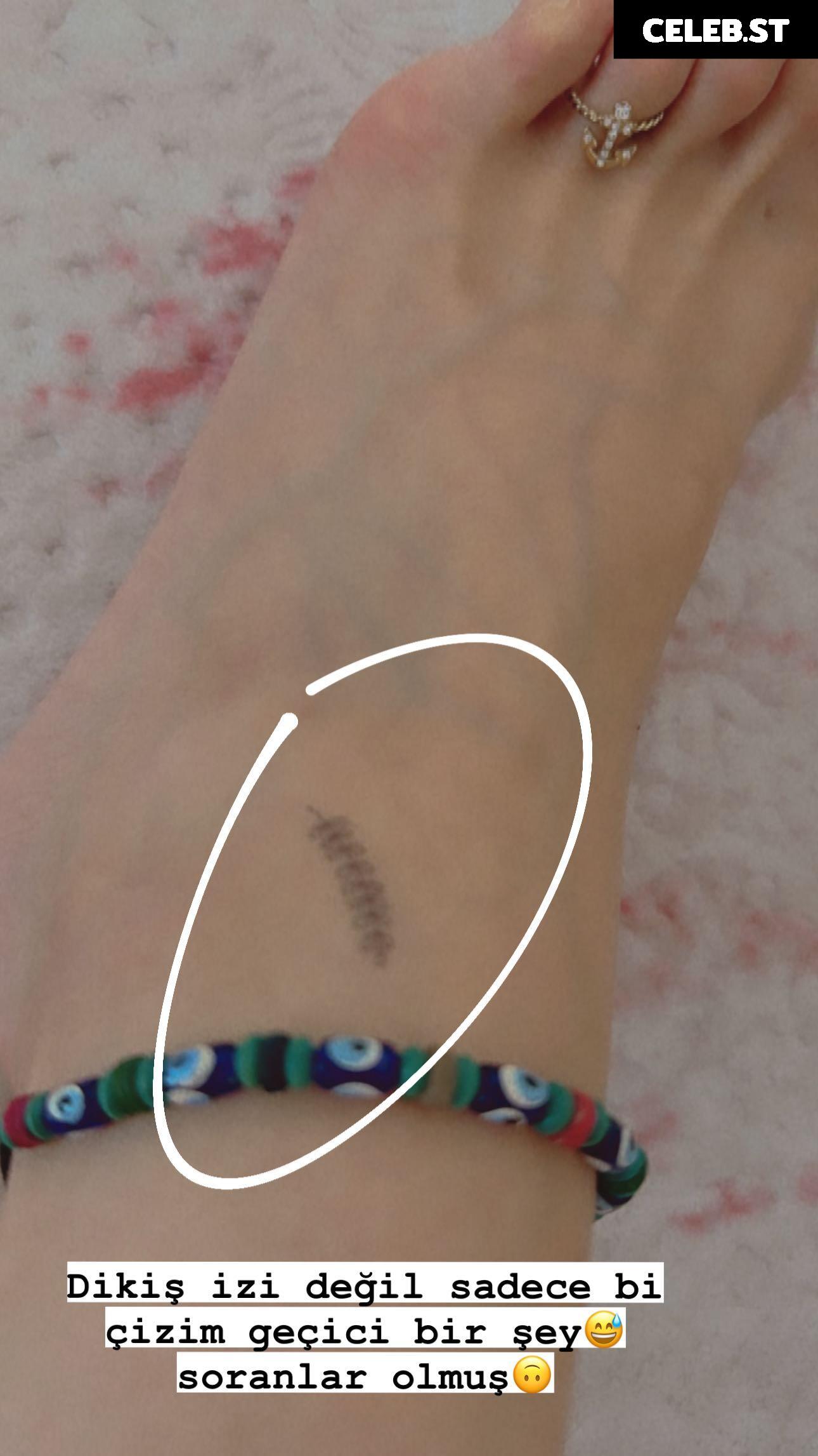 sariikubraa / heliosari Image 12660047