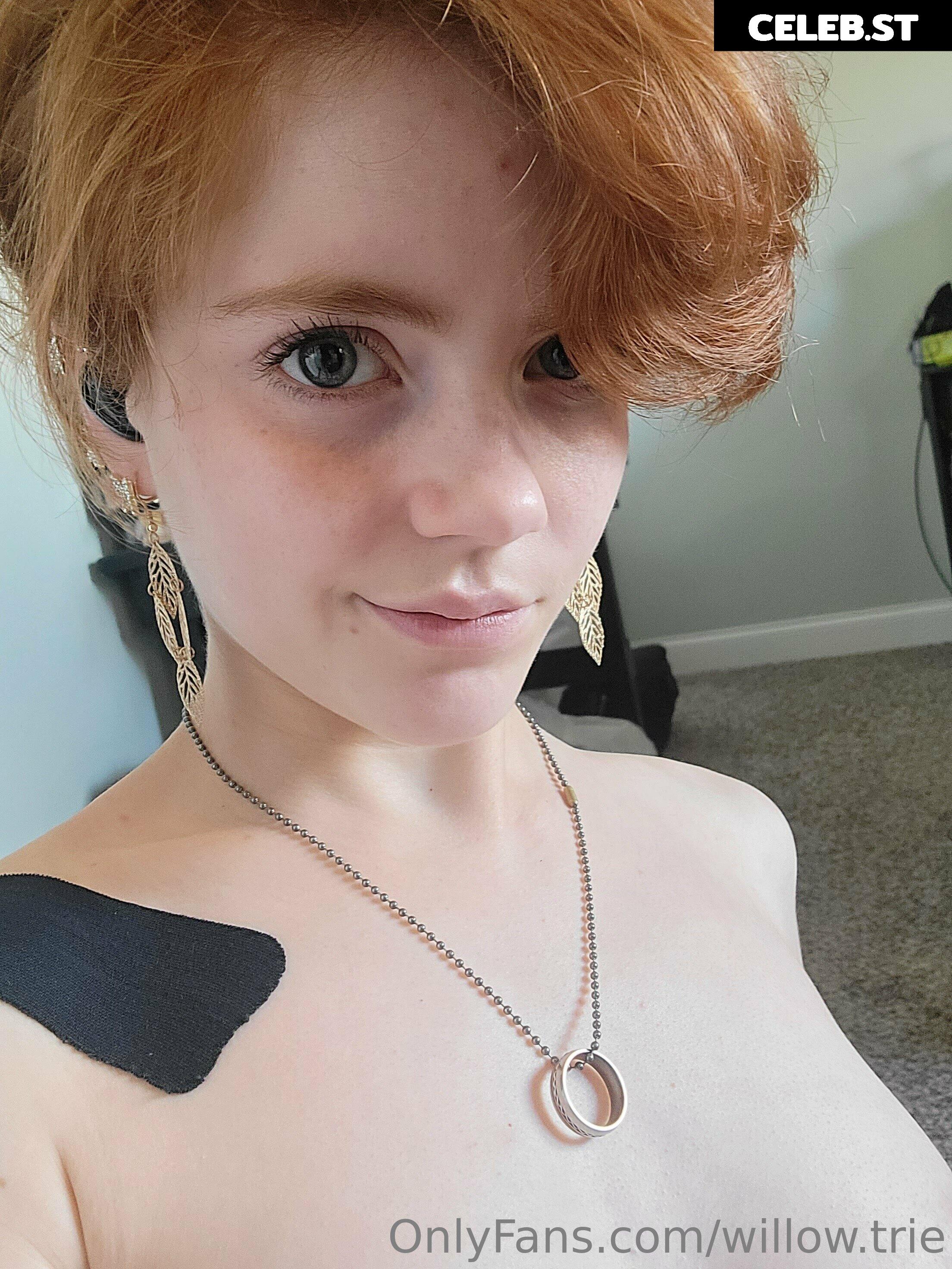 Willow.Trie Image 12553332