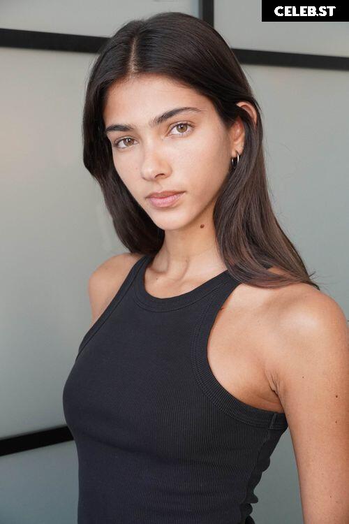 Brittany Noon Image 12552134