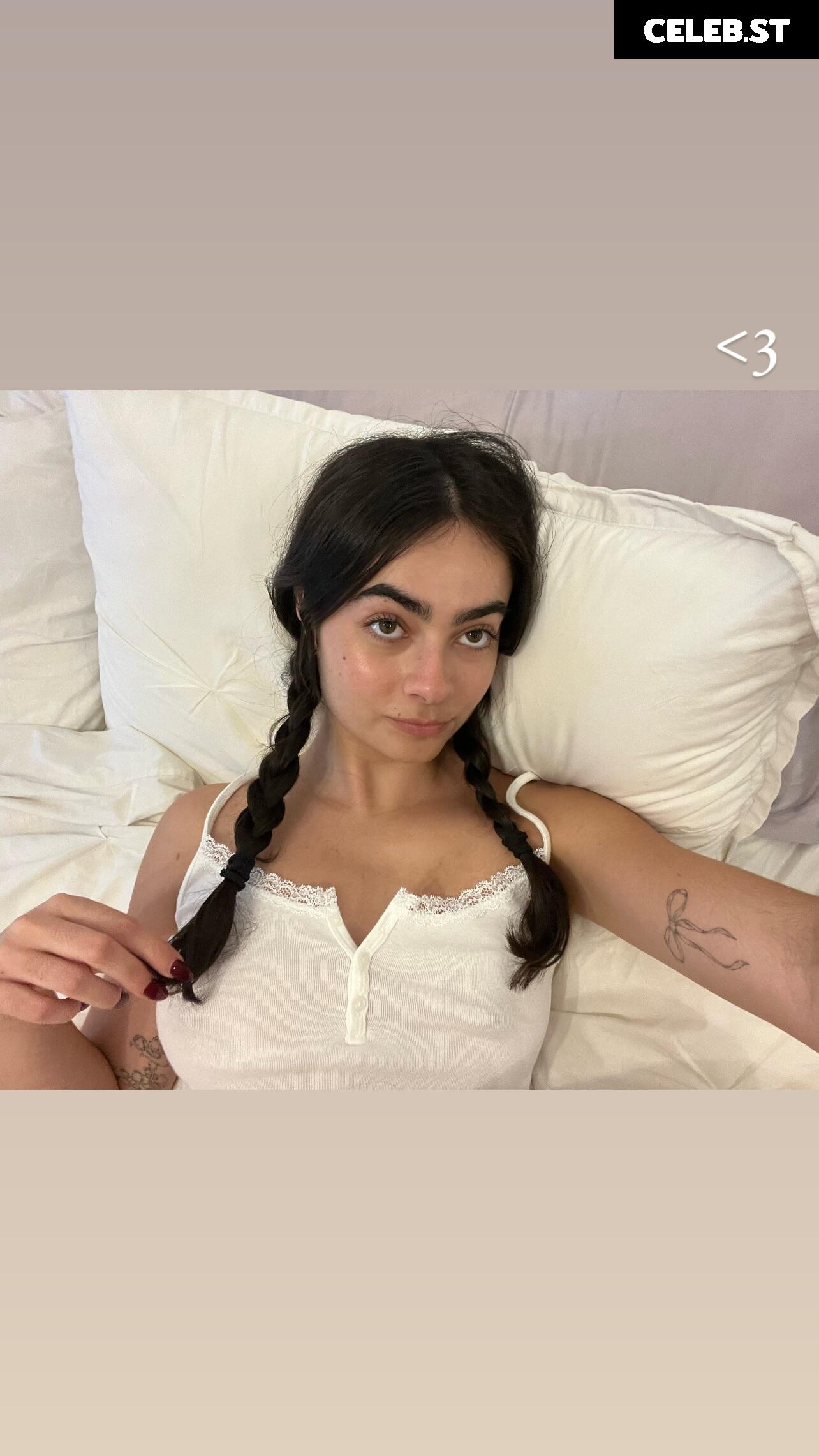 Inas Elashiry / inaselashiry Image 12552254