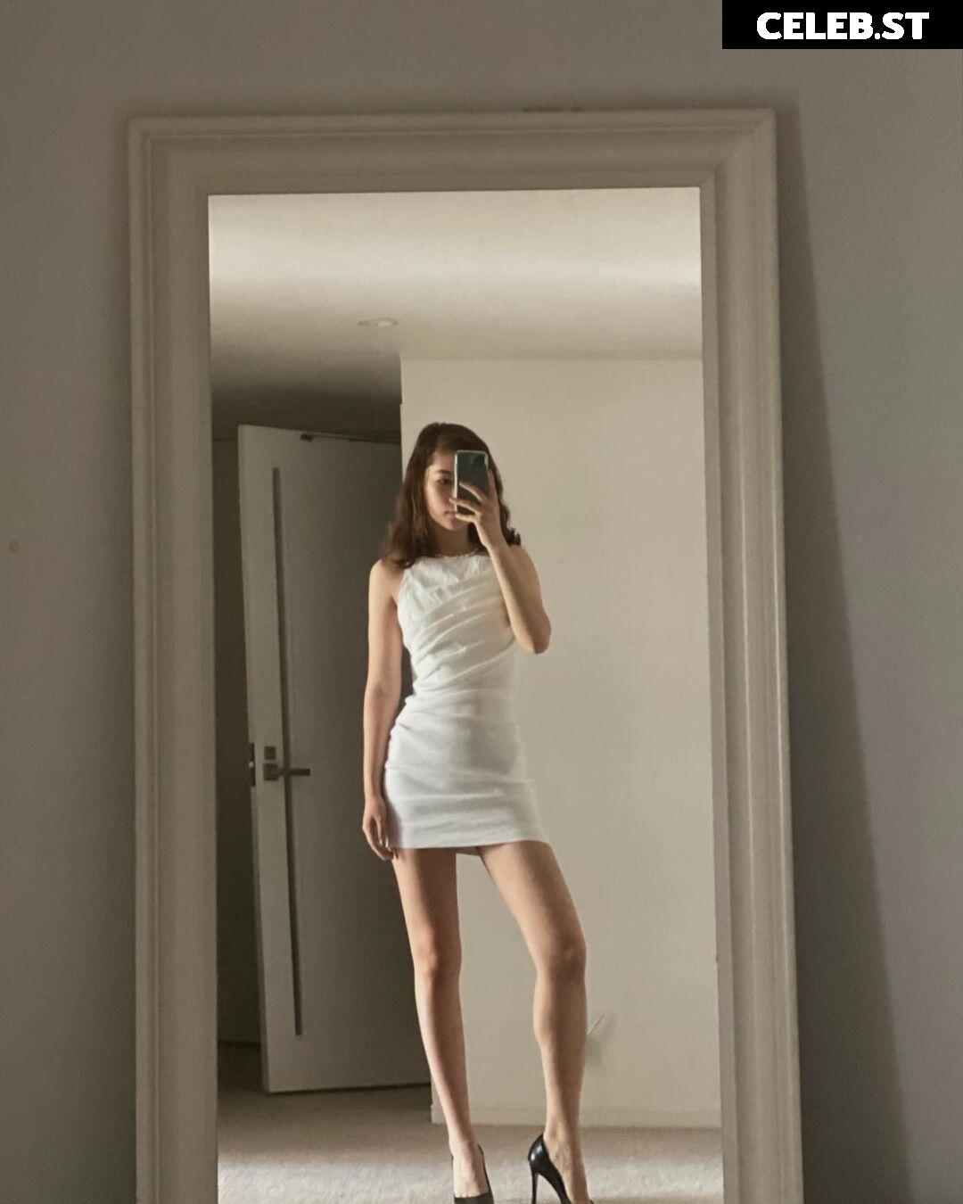 aoyamakate Image 12559532