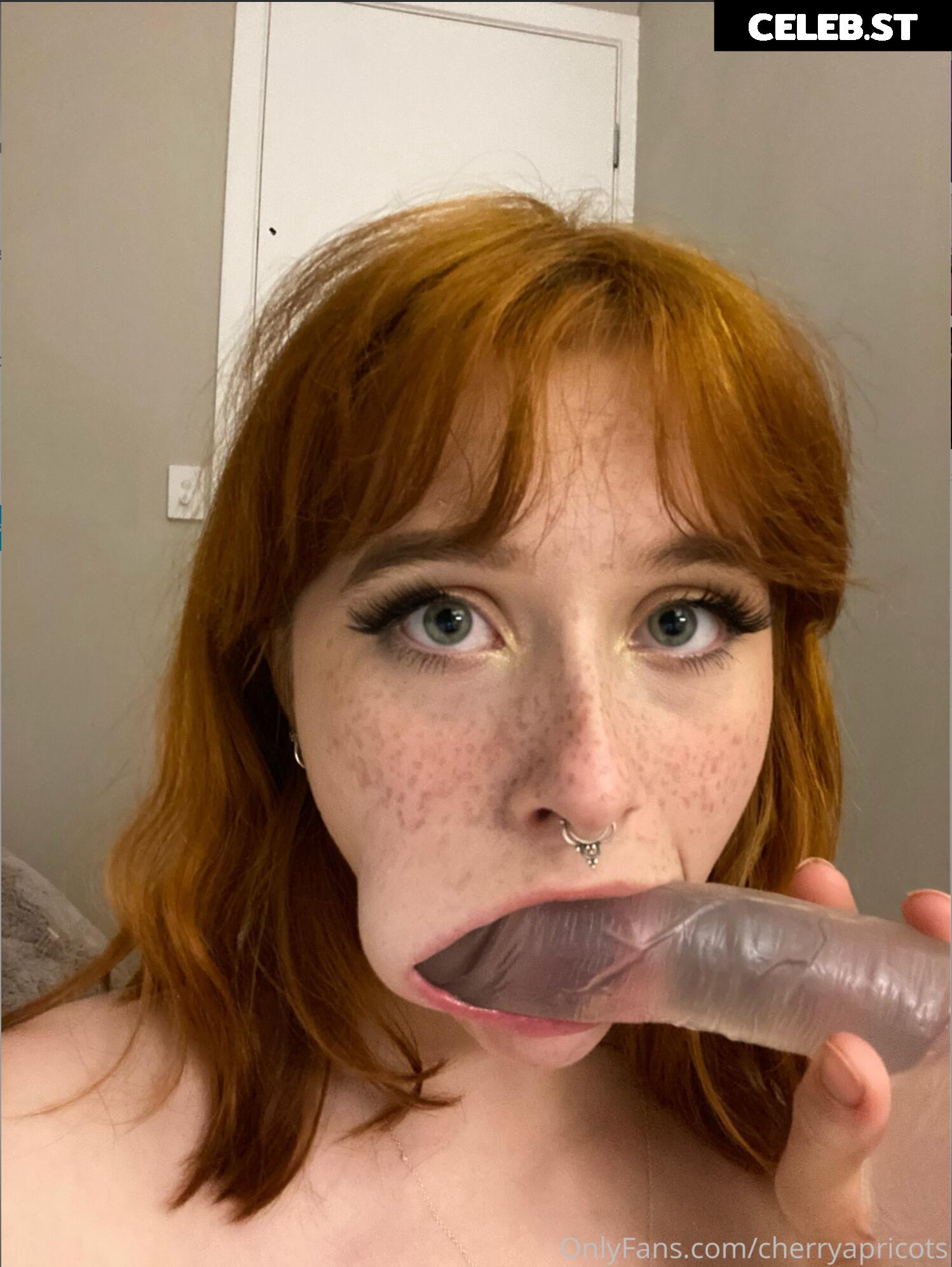 Cherry Apricots - Ginger Nympho Image 12578305