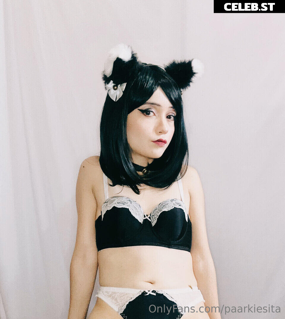 paarkiesita / Parkesiitaa / PARKESI_TA Image 12577260