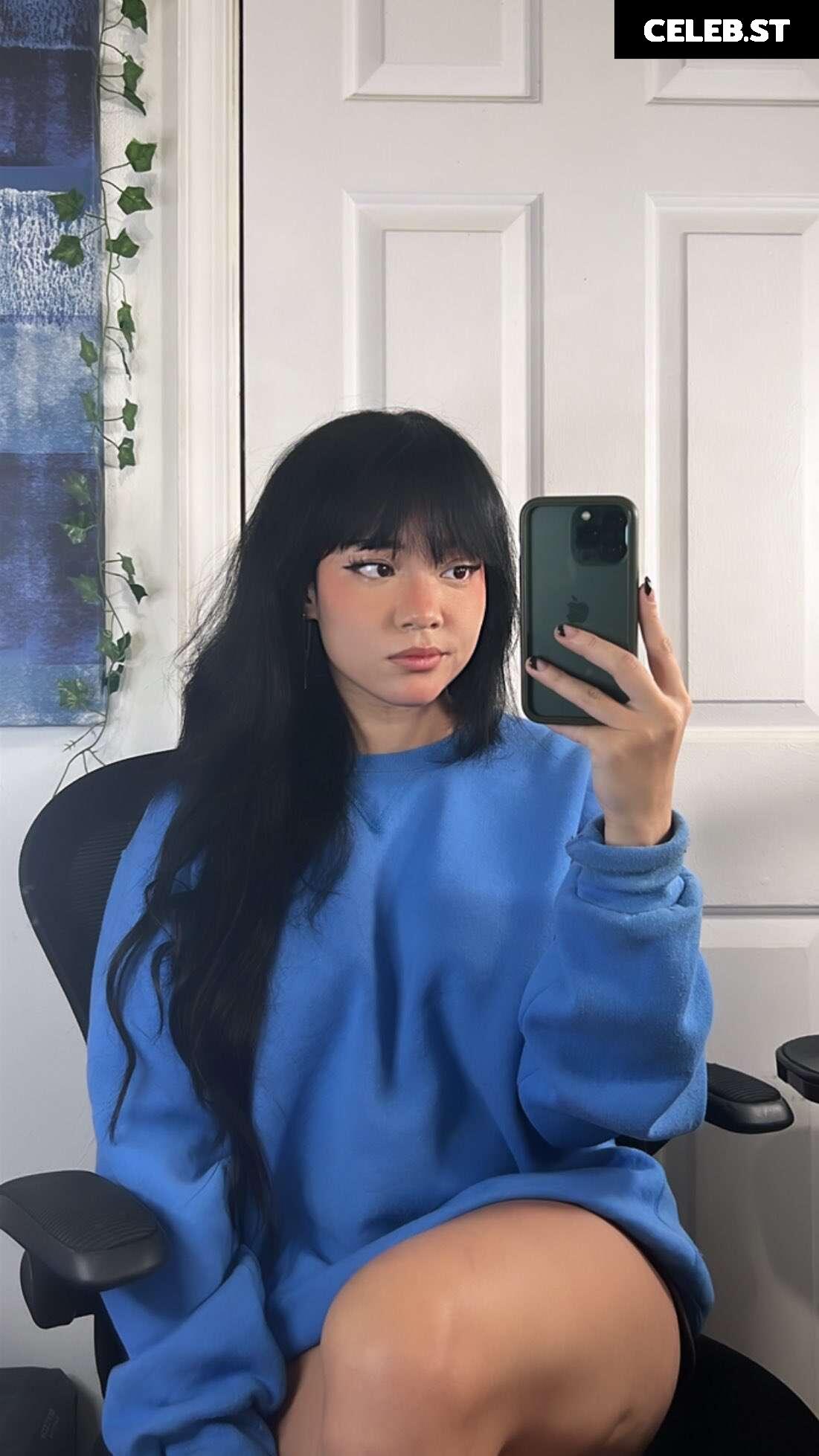 Cinnabrit Image 12576044