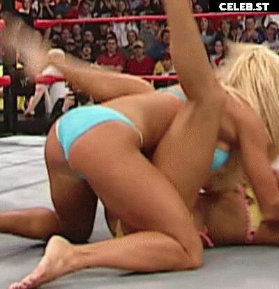 WWE Torrie Wilson Image 12549593