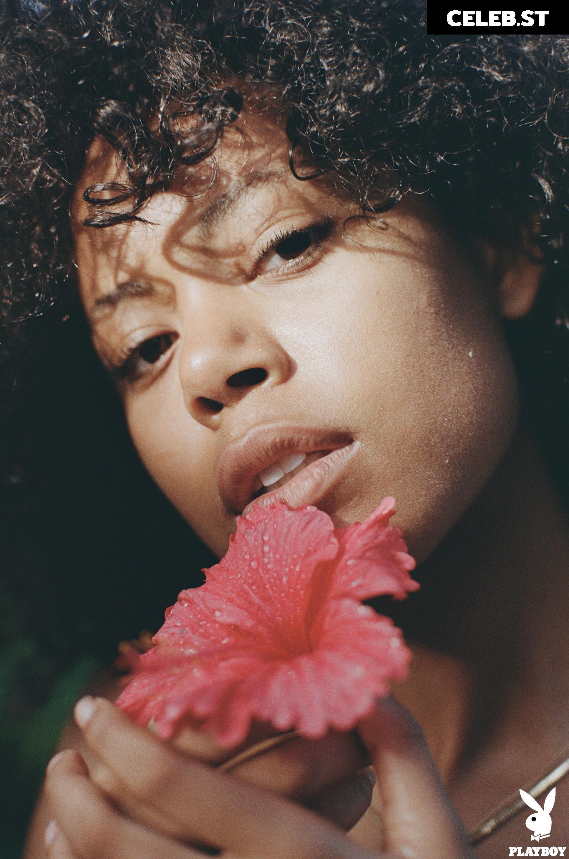 Ned Bird Image 12516026