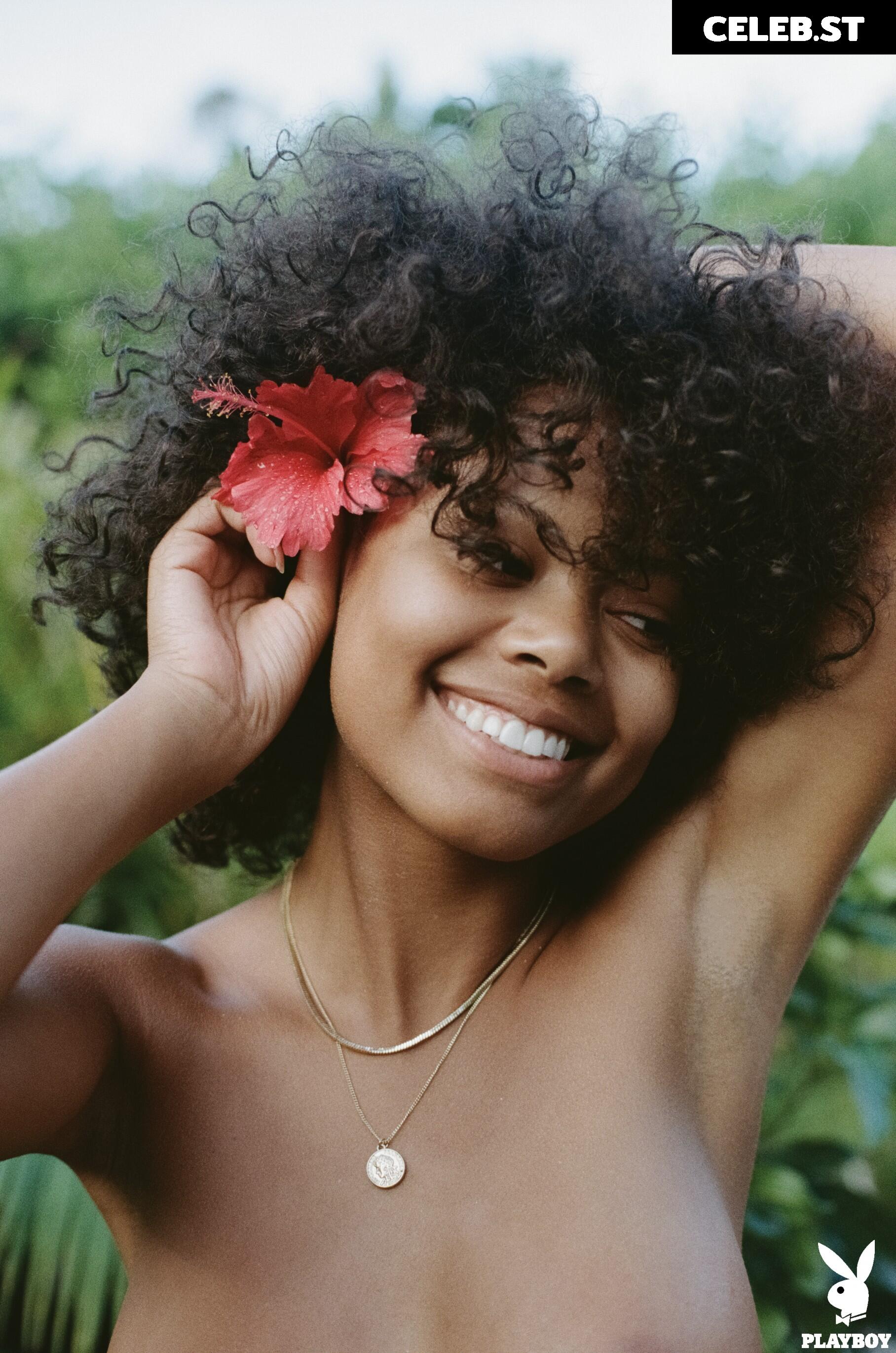 Ned Bird Image 12516013