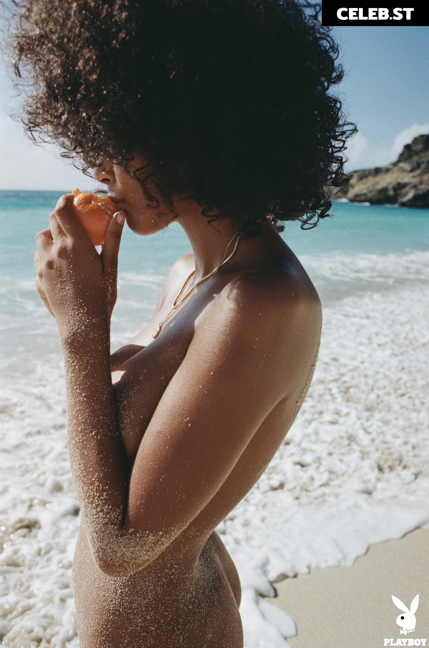 Ned Bird Image 12516032