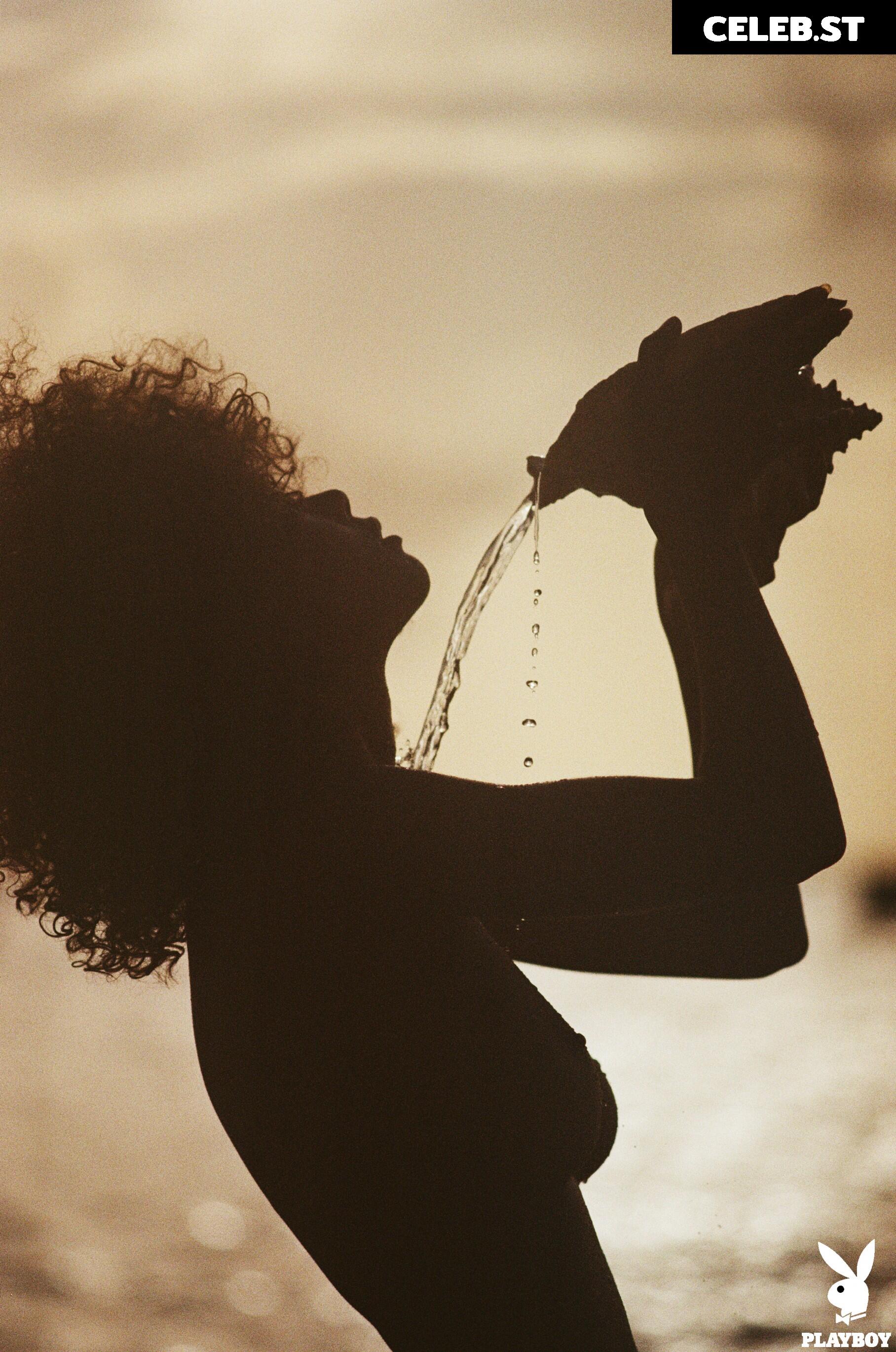 Ned Bird Image 12516031