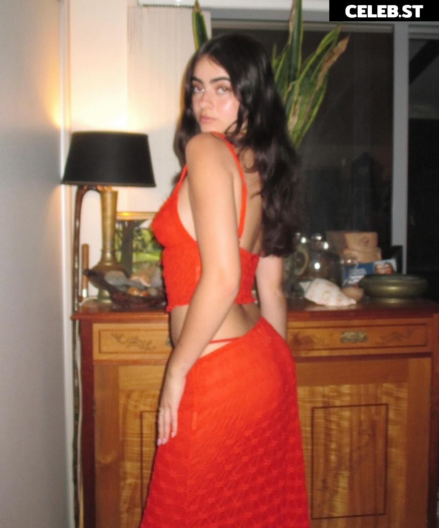 Inas Elashiry / inaselashiry Image 12520587