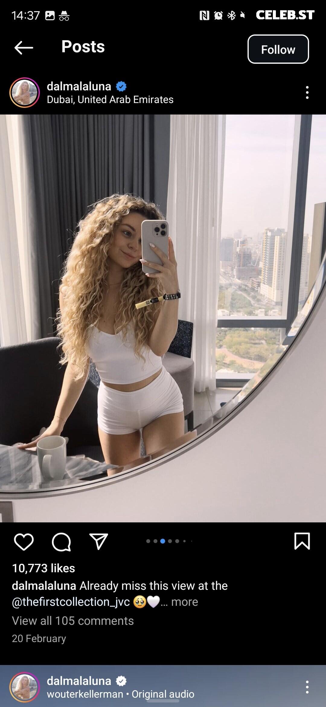 Dalmalaluna | Kitti Dalma Image 12520173