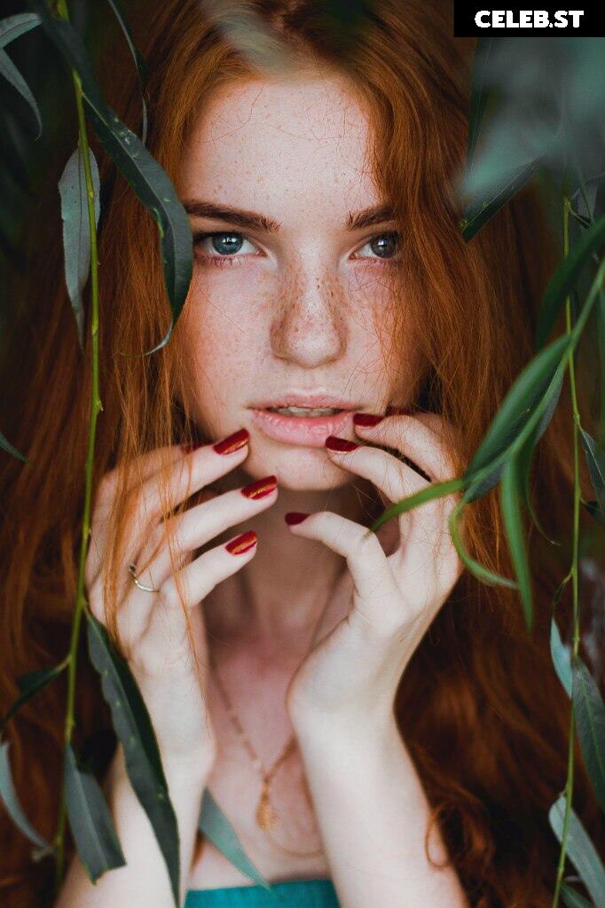 Myfoxyland Image 12505203