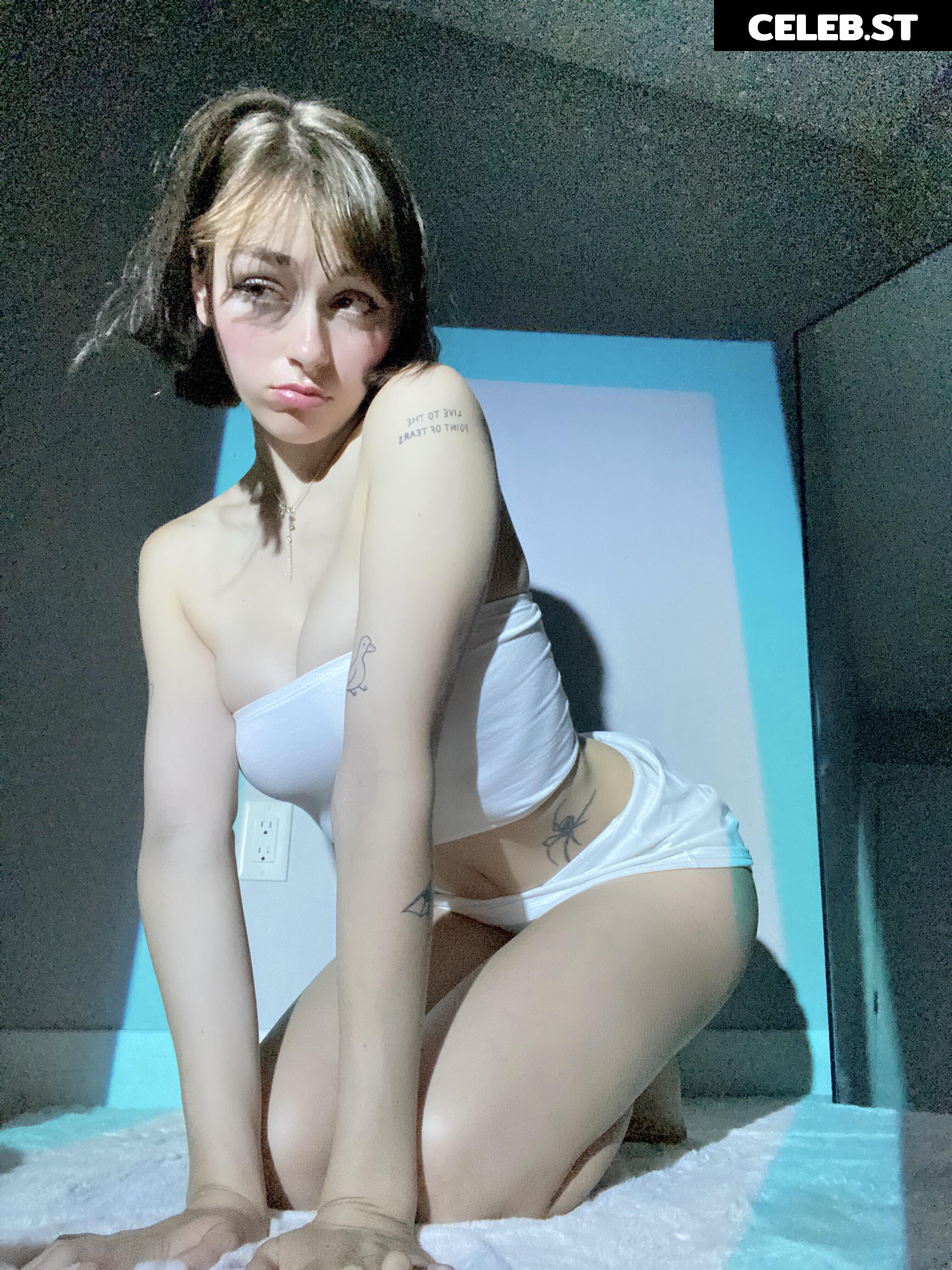 awholelottazozo Image 12504957
