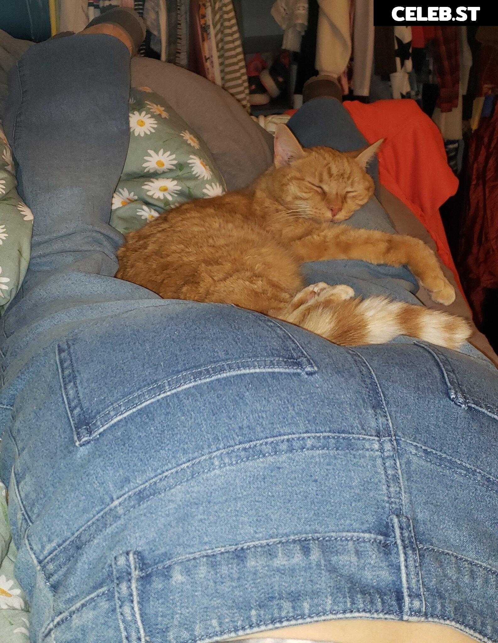 QueenTofu Image 12504701