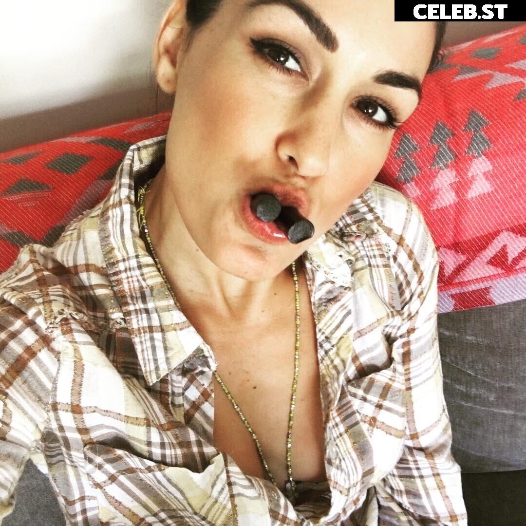 The Bella Twins: Nikki Bella &amp; Brie Bella | Garcia Twins Image 12593643