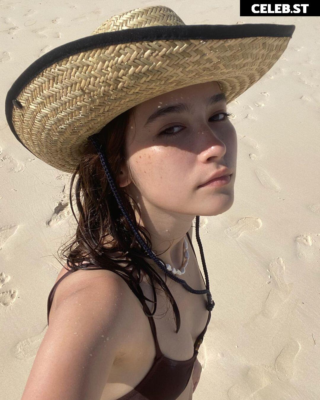 aoyamakate Image 12582075