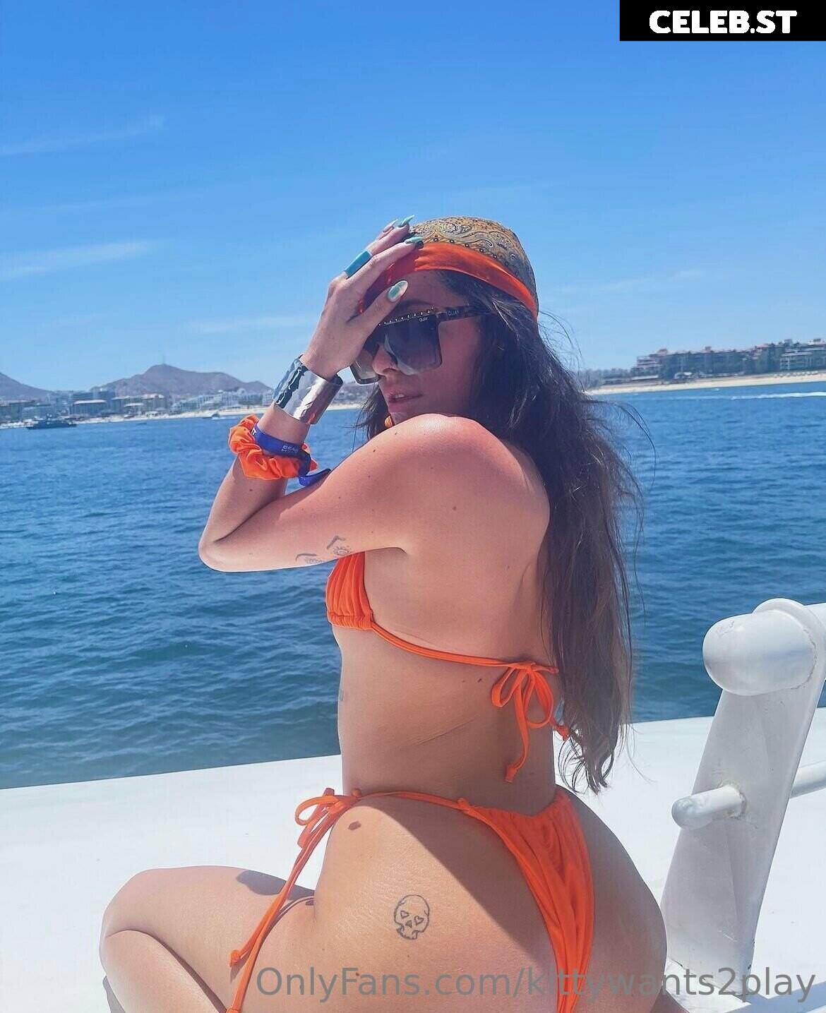 Disko.kitty / kittywants2play / diskomfkitty Image 12457500