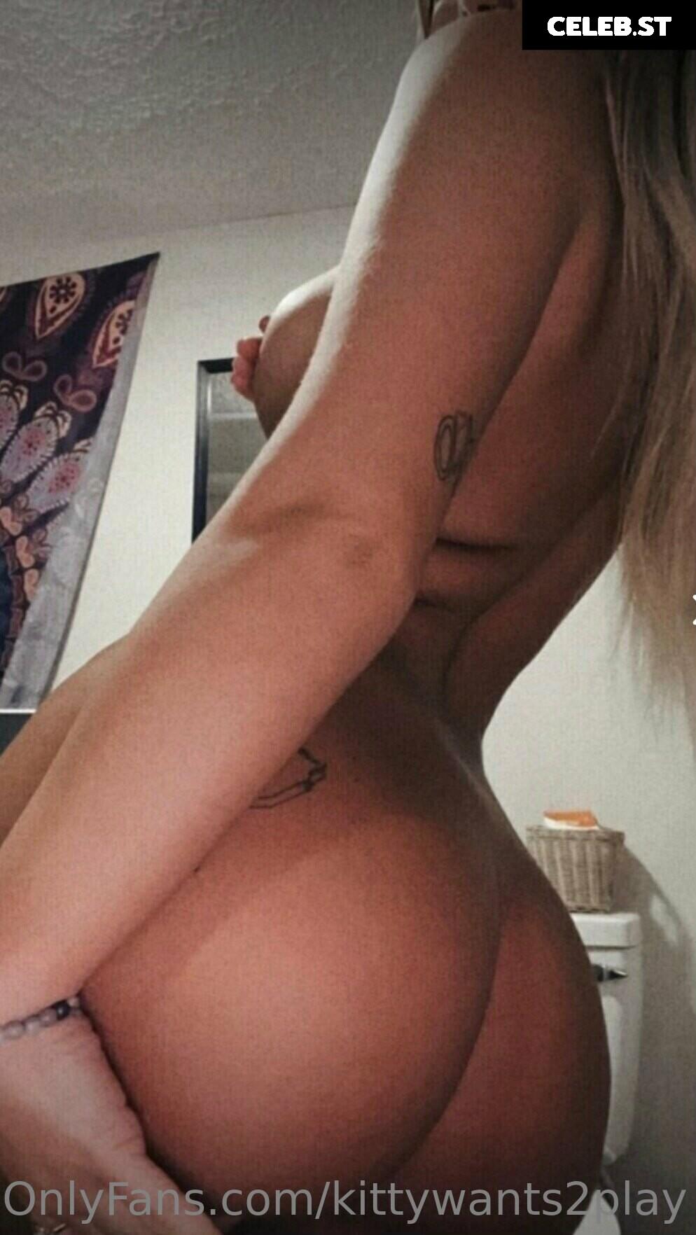 Disko.kitty / kittywants2play / diskomfkitty Image 12457496