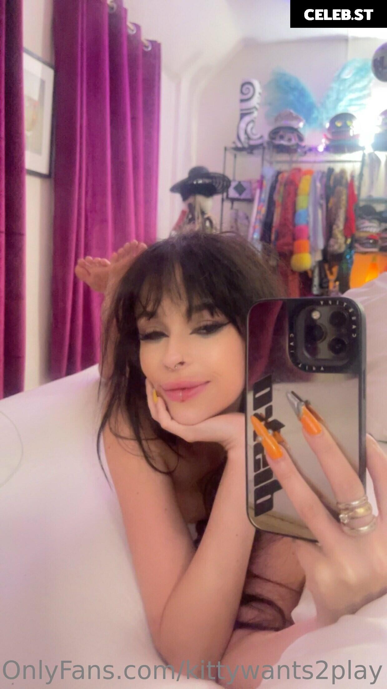 Disko.kitty / kittywants2play / diskomfkitty Image 12457462