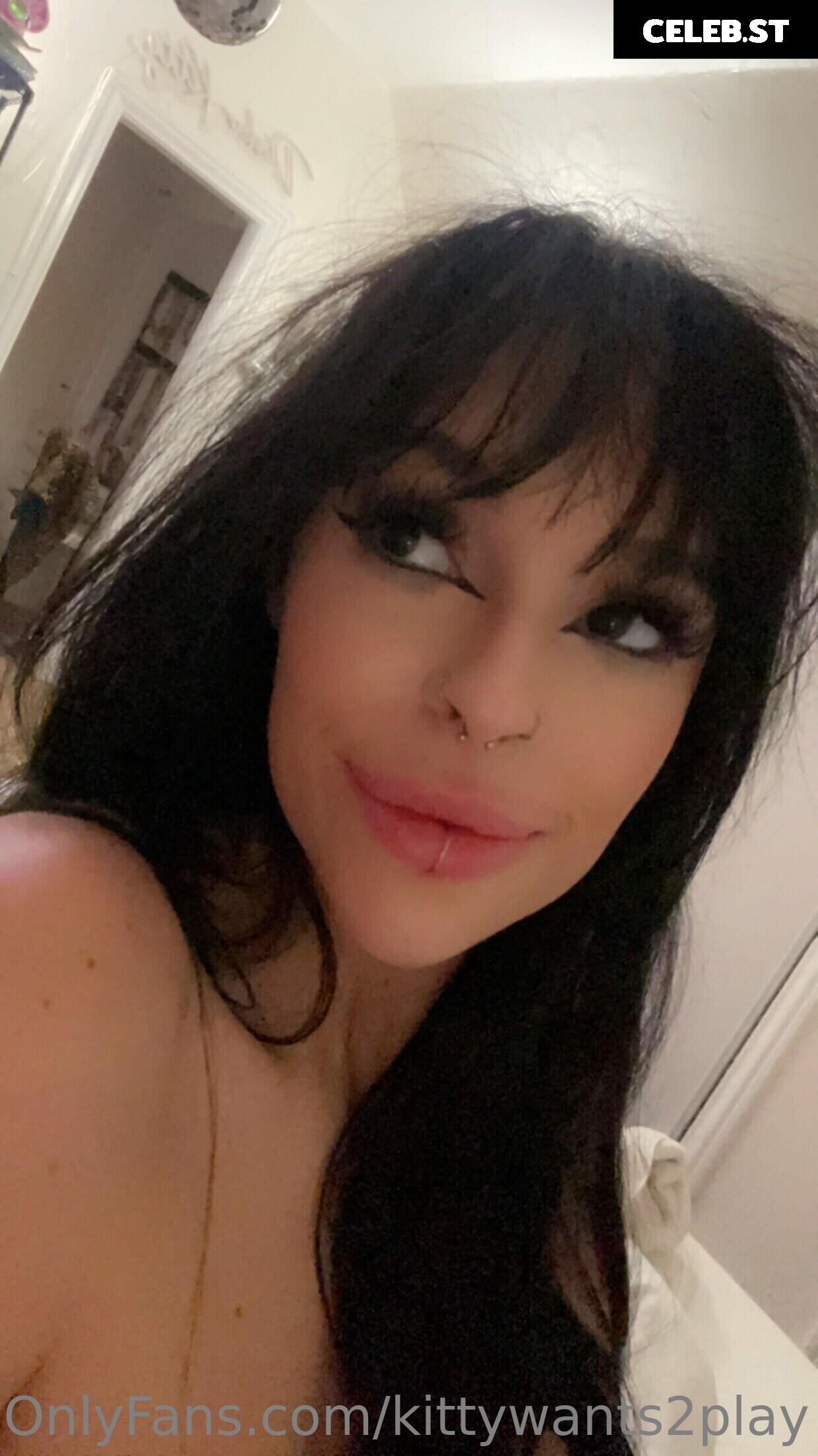 Disko.kitty / kittywants2play / diskomfkitty Image 12457446