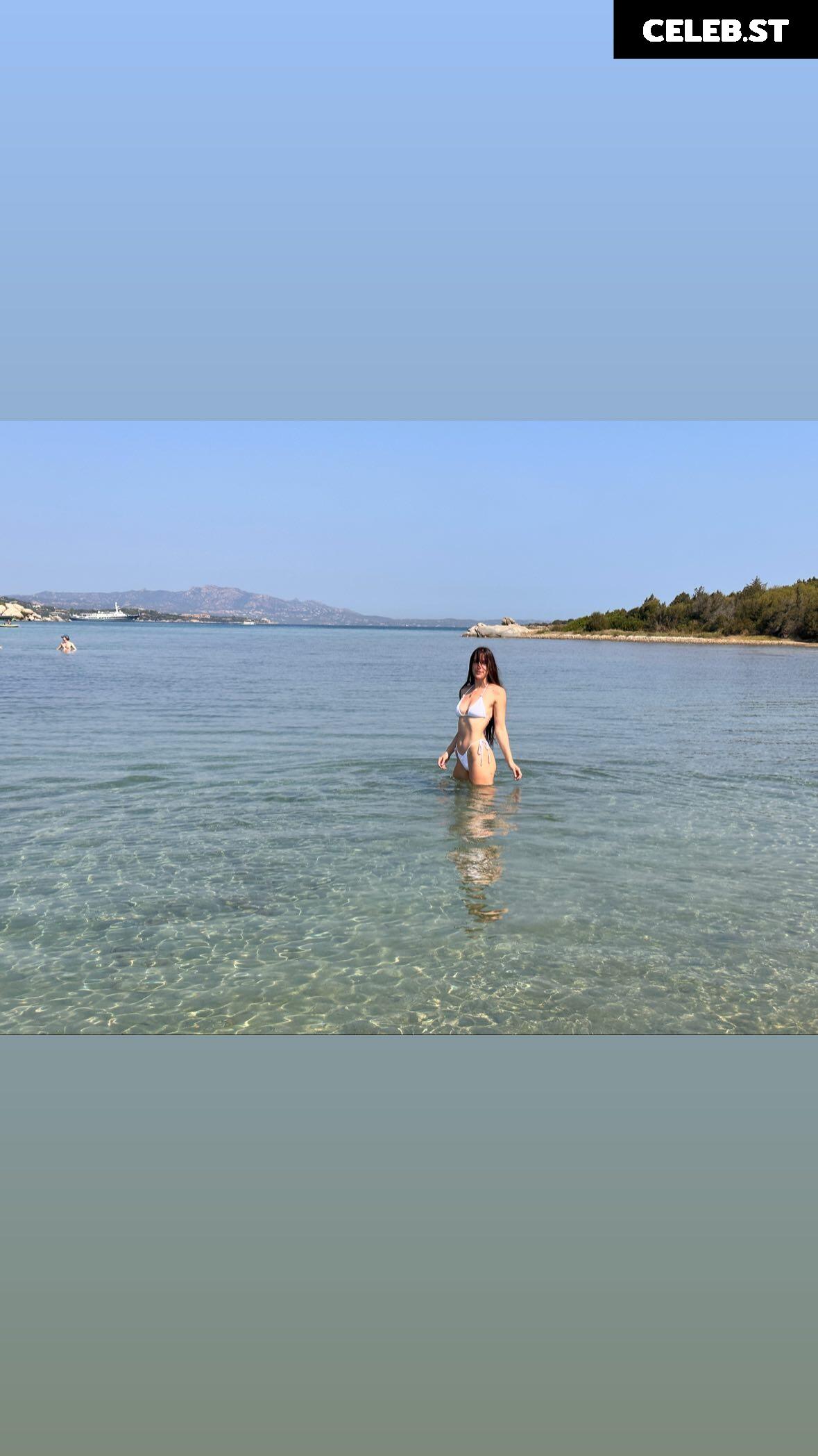 Scout LaRue Willis Image 12450415