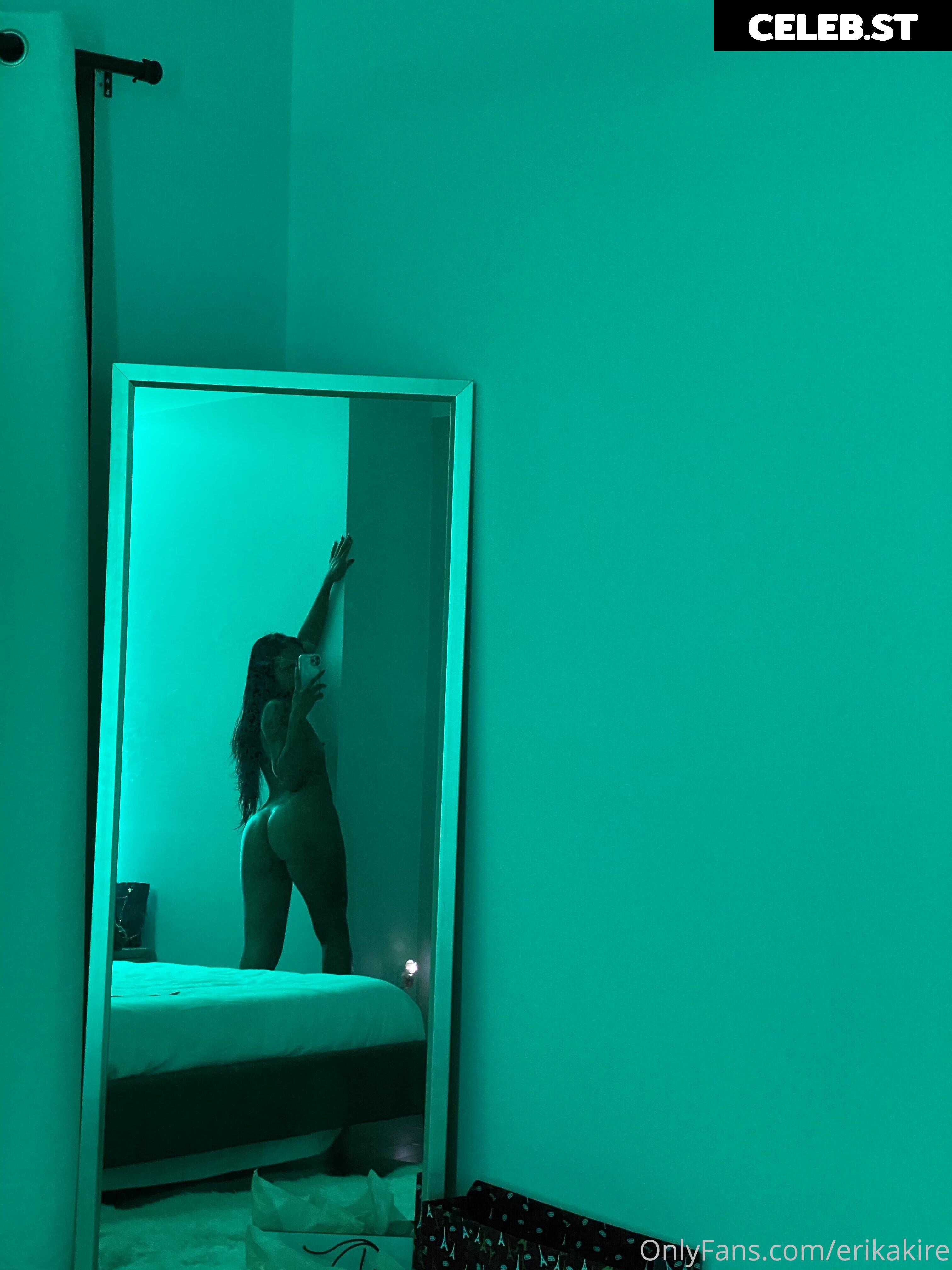 xerikakirex Image 12453697