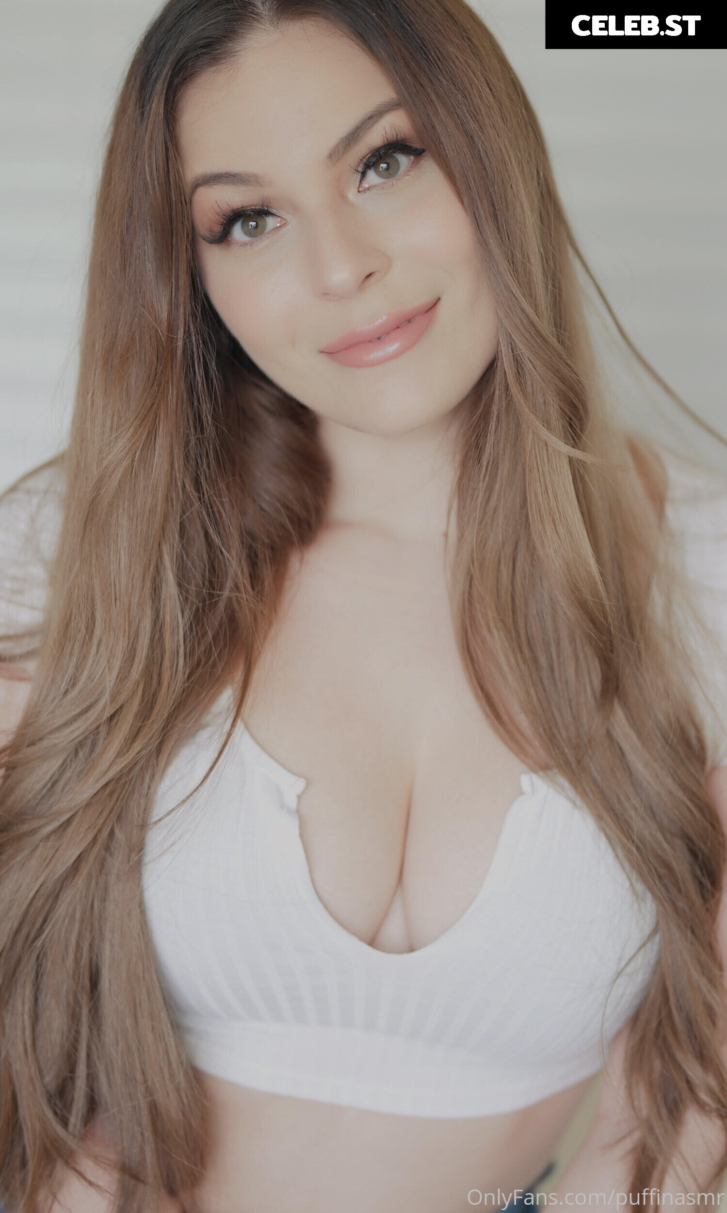 ASMR Puffin Image 12464572