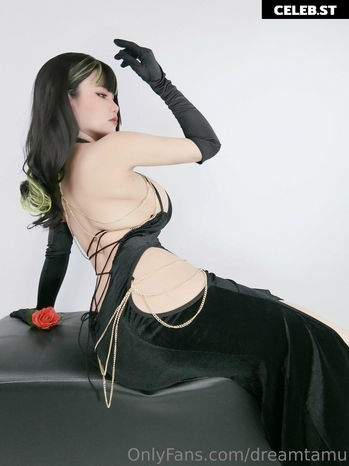 dreamtamu Image 124646