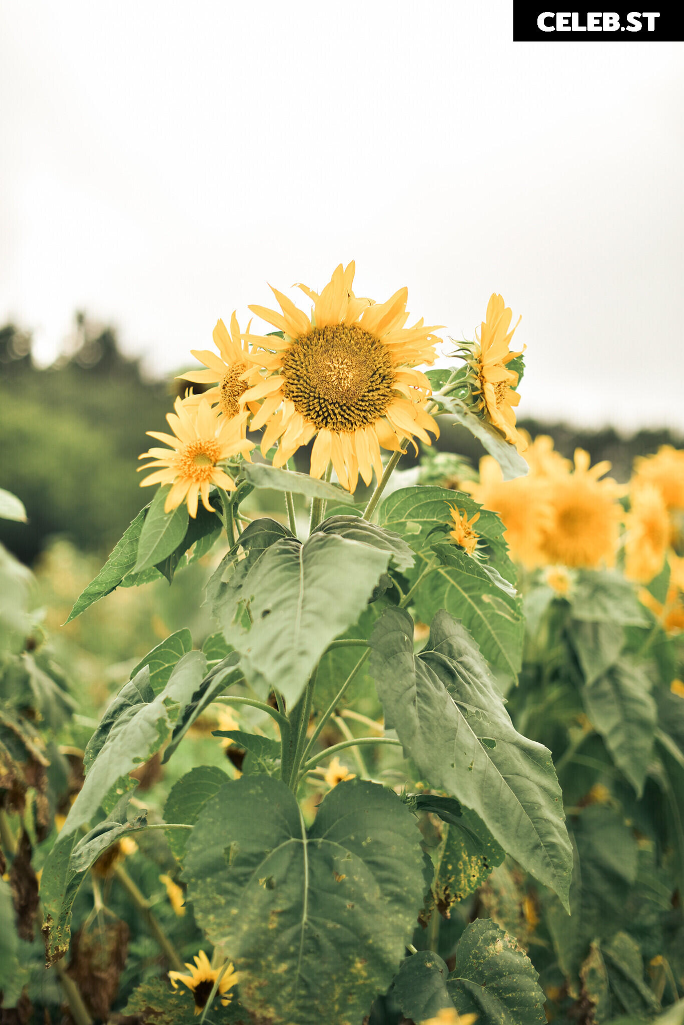 eeelyeee (Ely Cosplay) Image 12477816