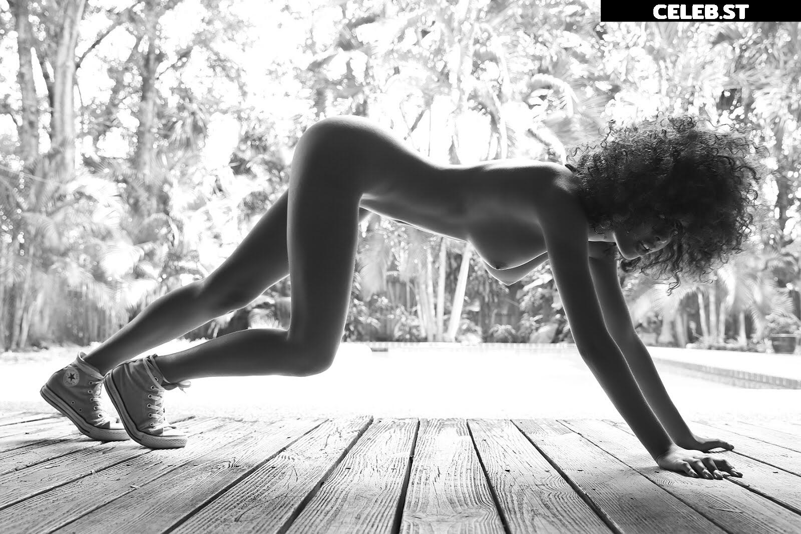 Ned Bird Image 12476084