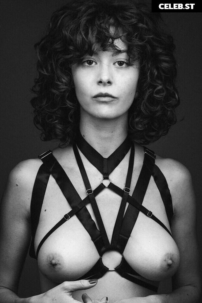 Vanille Barres Image 12479969