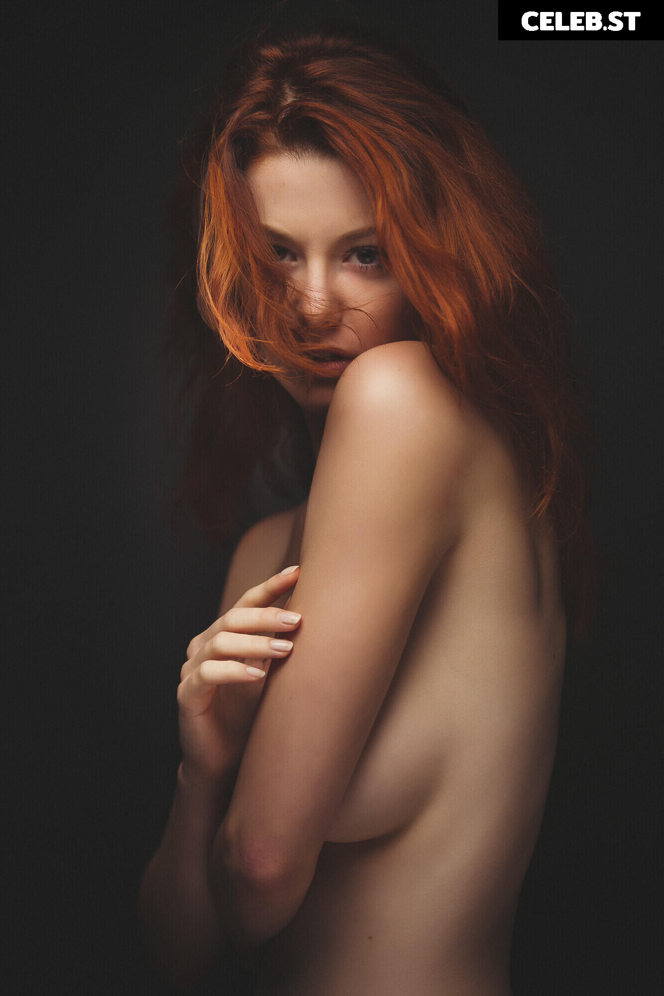 Vanille Barres Image 12479949