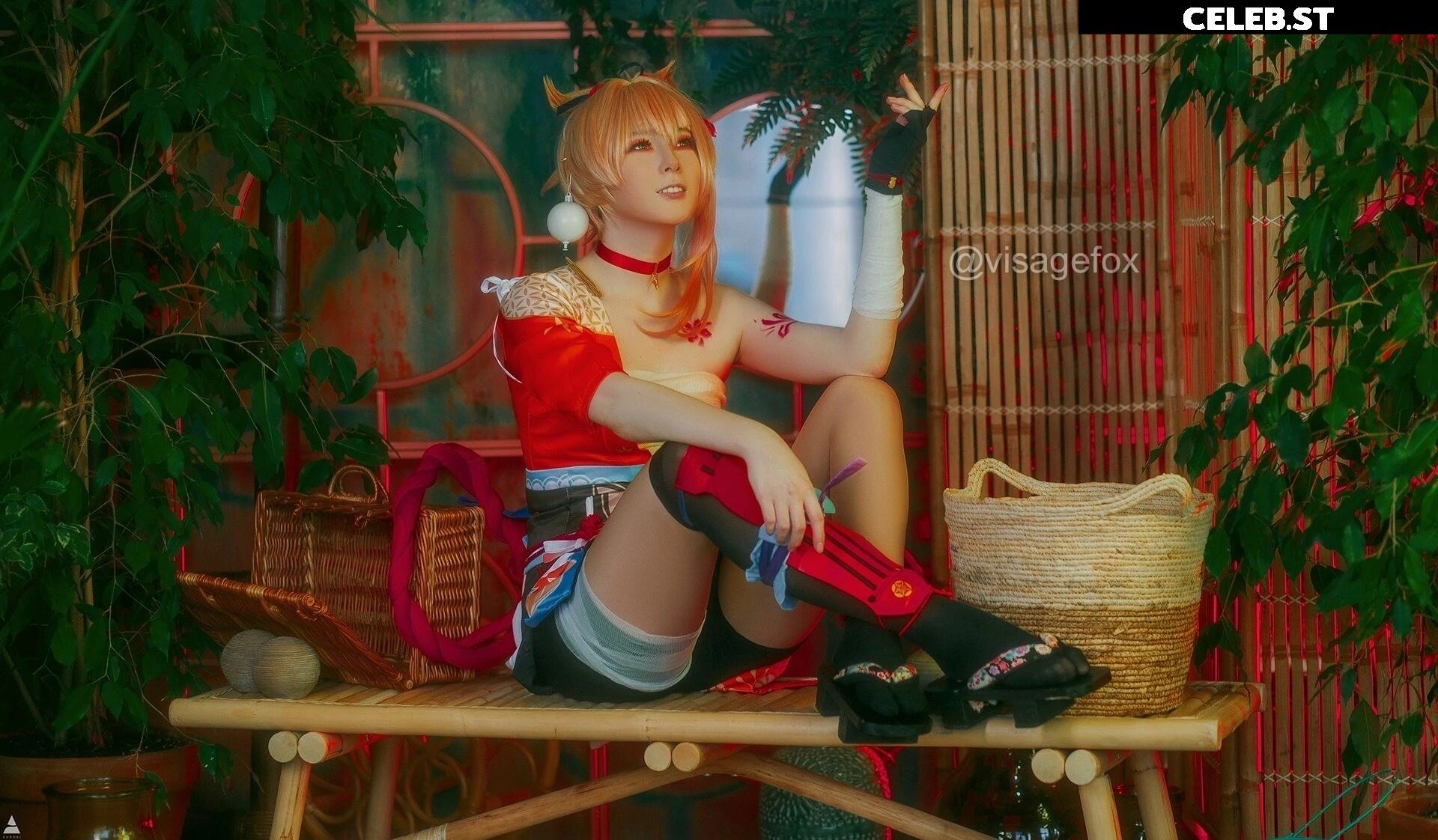 visagefox Image 12444402