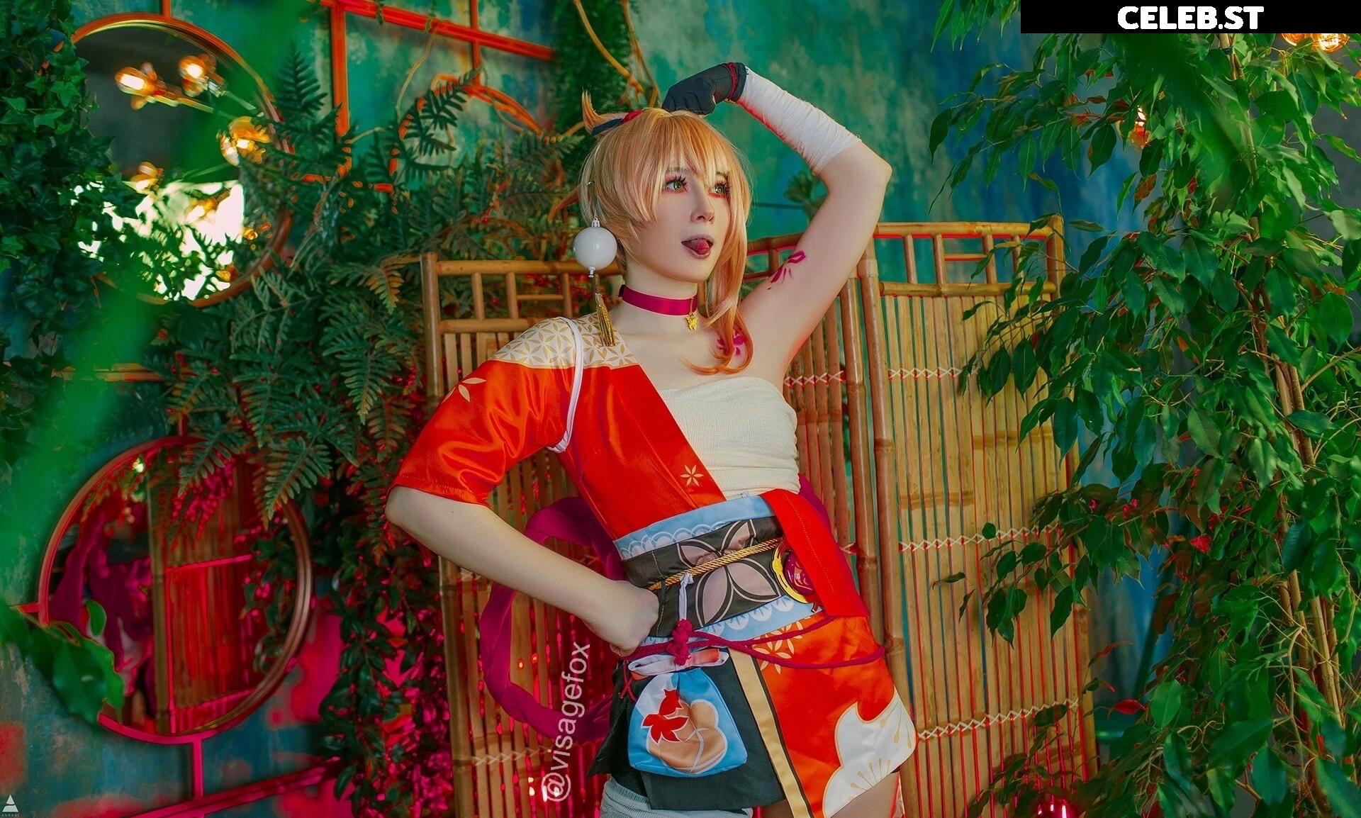 visagefox Image 12444408