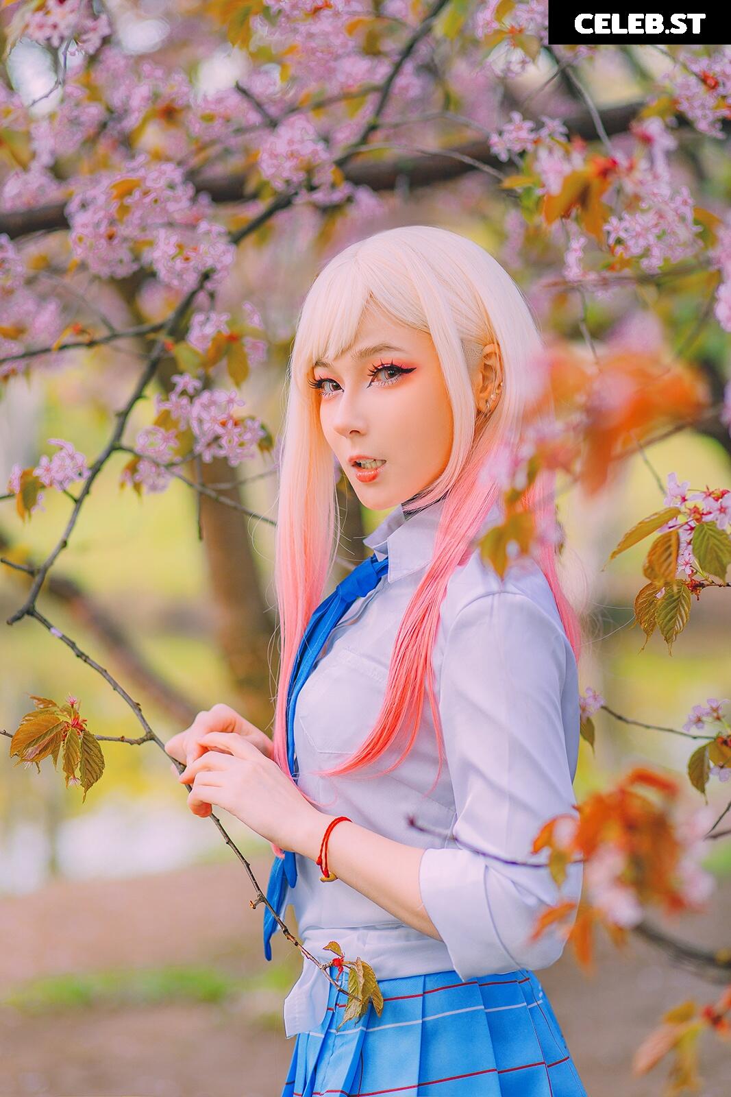 visagefox Image 12444390