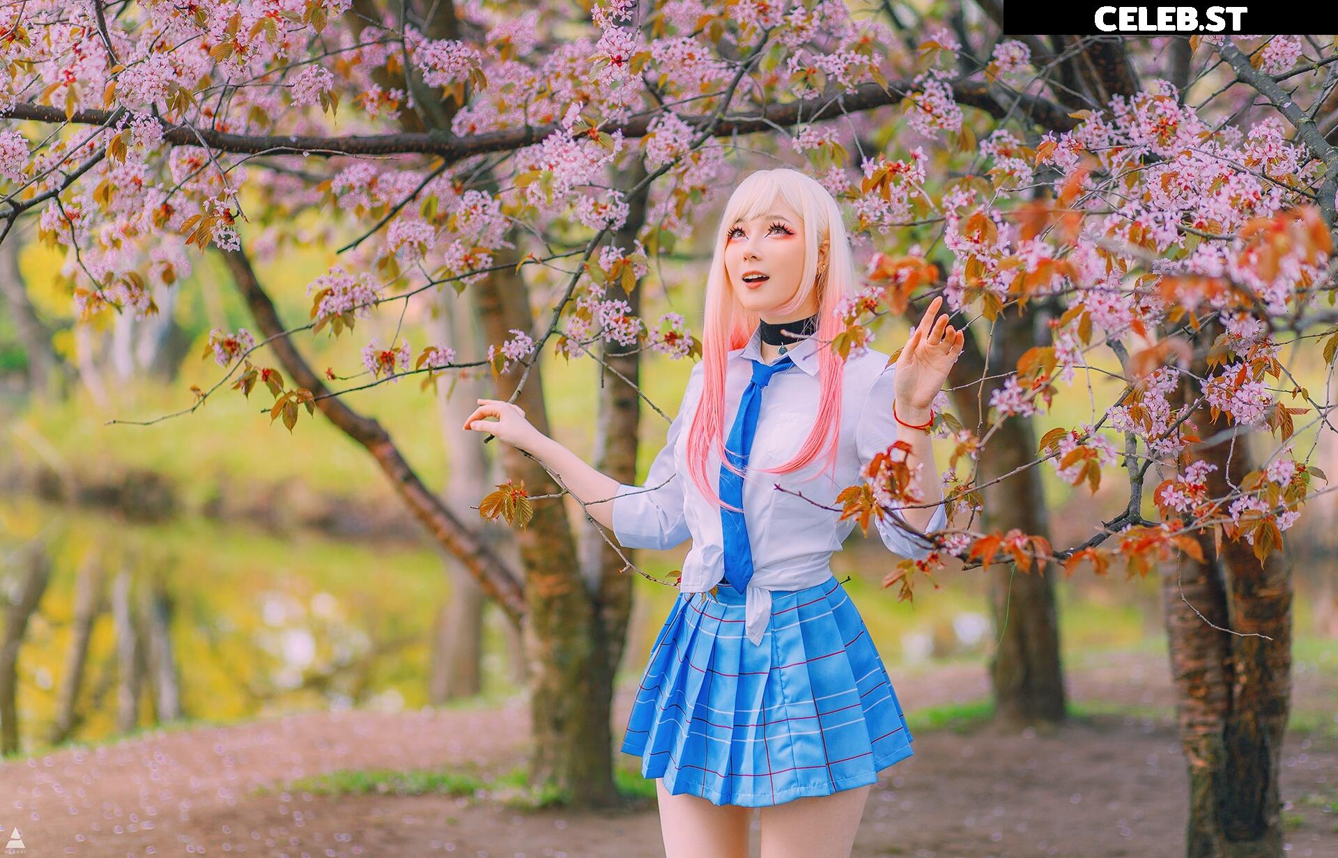 visagefox Image 12444383