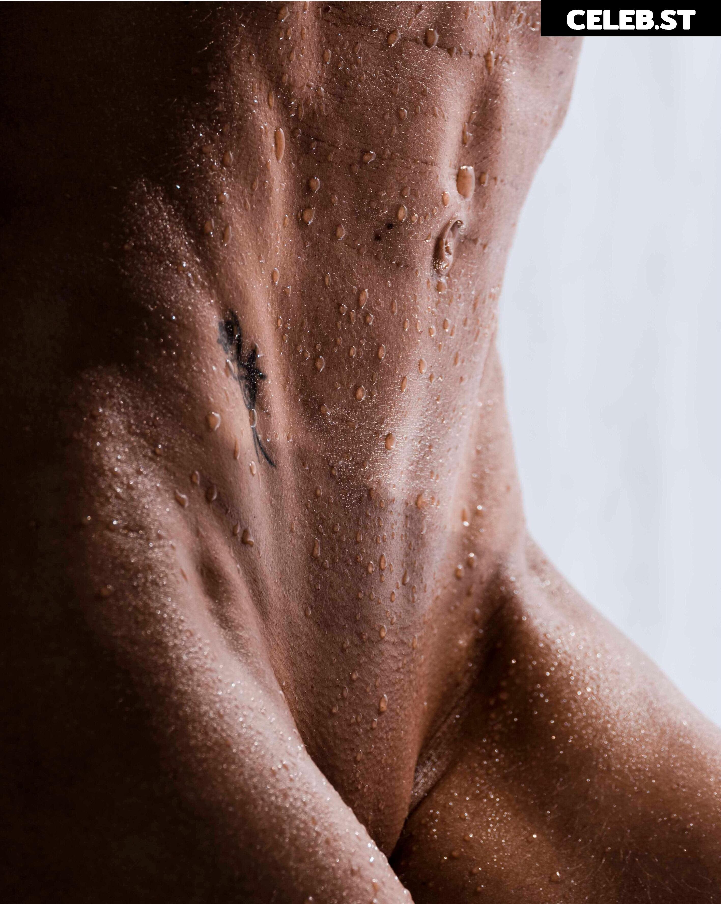 Lieslfitmom / Liesl Damstra Image 12442048