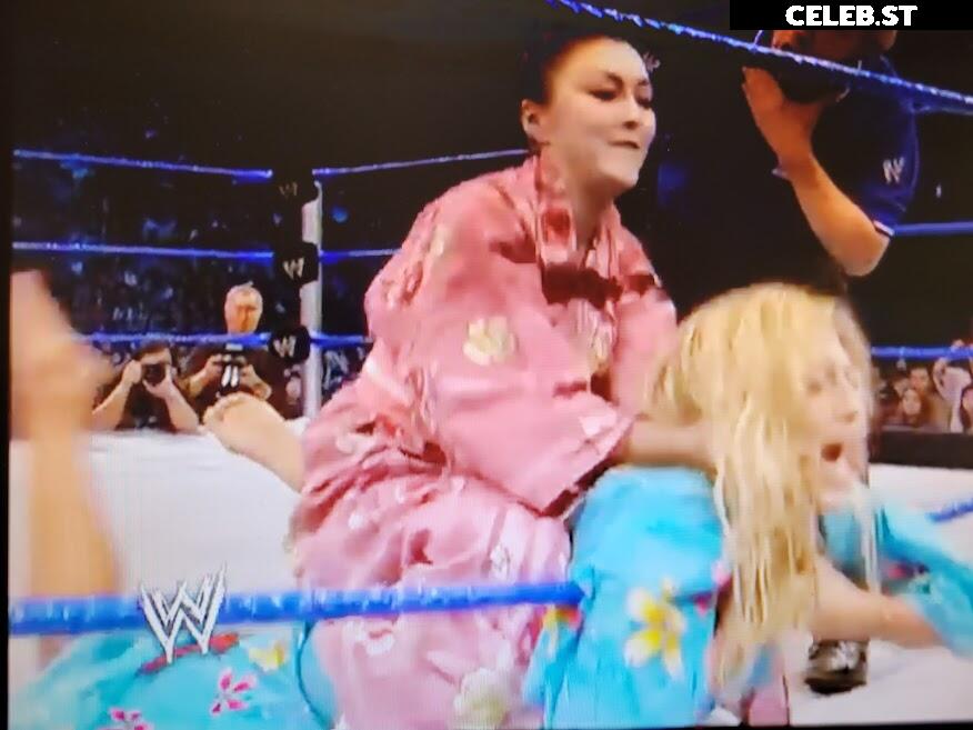 WWE Torrie Wilson Image 12419438