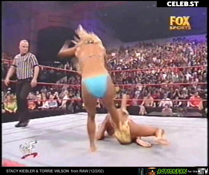 WWE Torrie Wilson Image 12419321