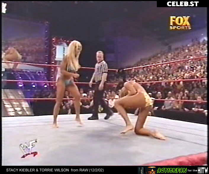 WWE Torrie Wilson Image 12419324