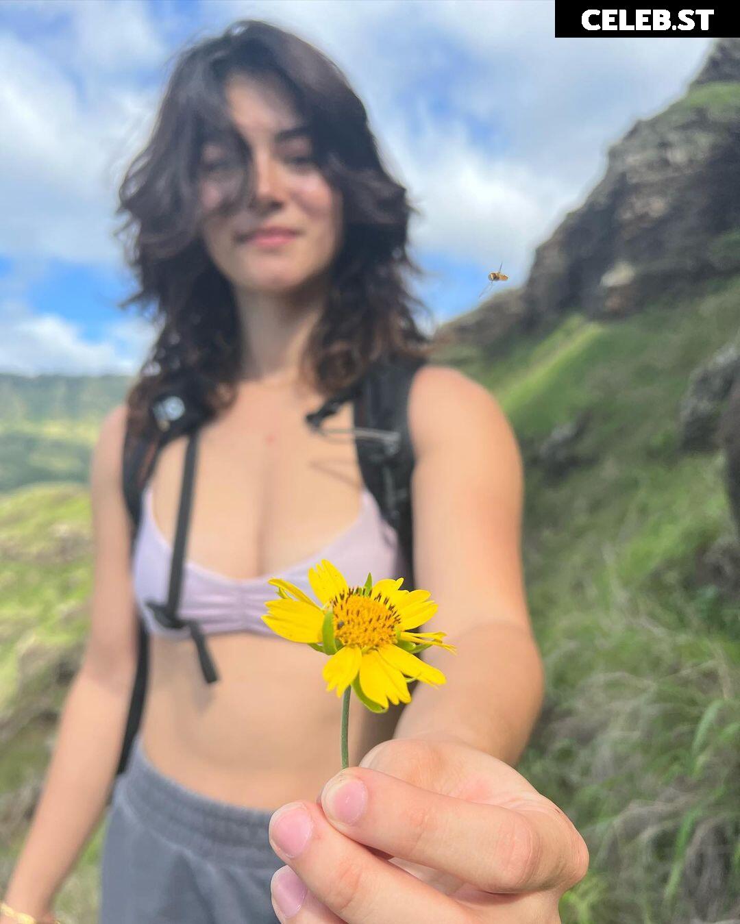 mcshnizzle Image 12427891