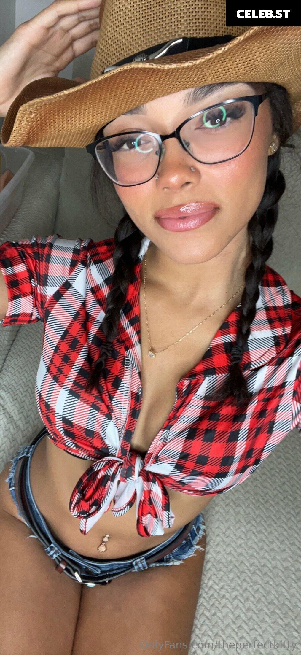 Nerdy petite kitty / theperfectkitty Image 12433347